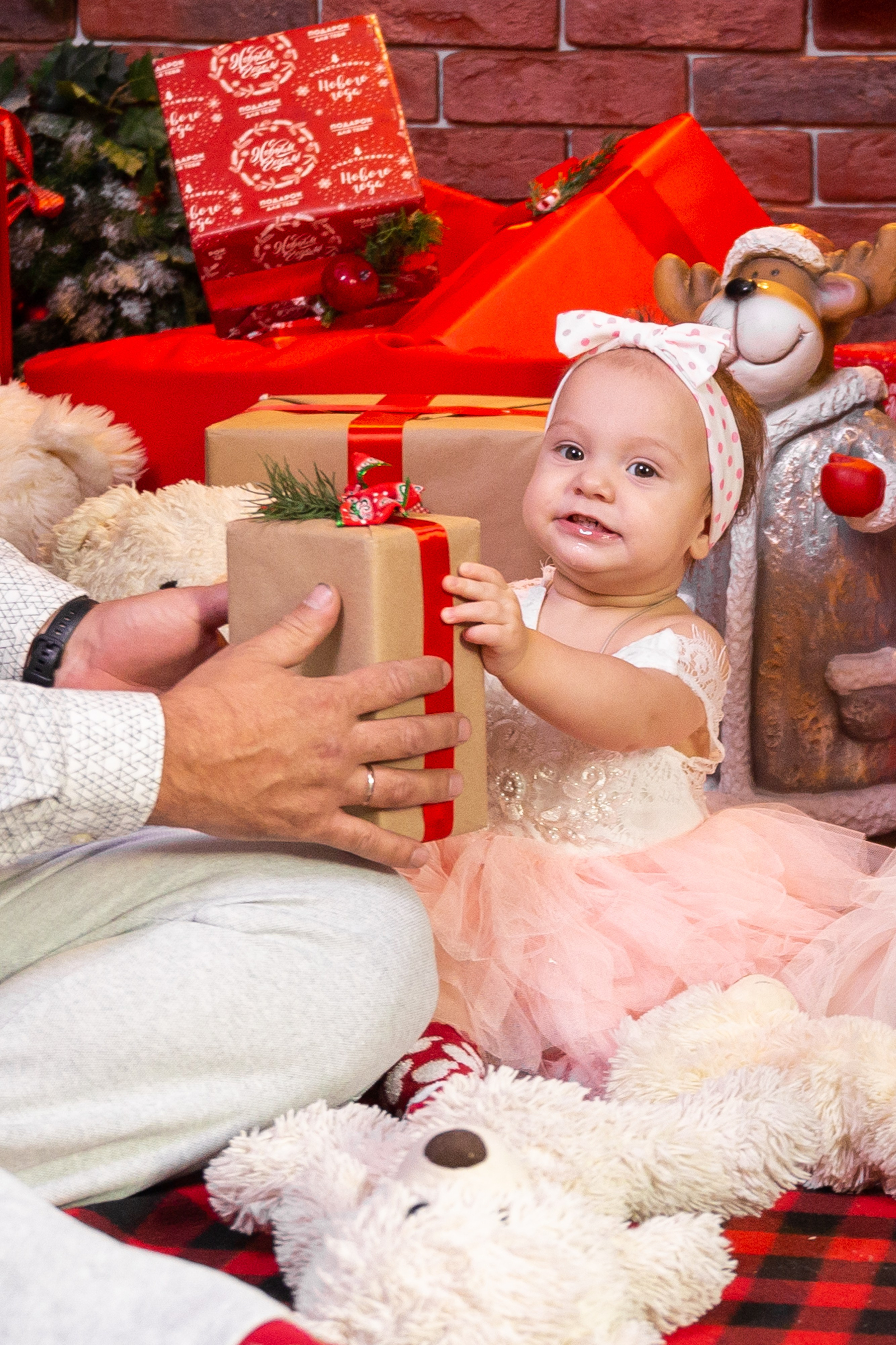 Семейные. Фотограф Комаров Сергей