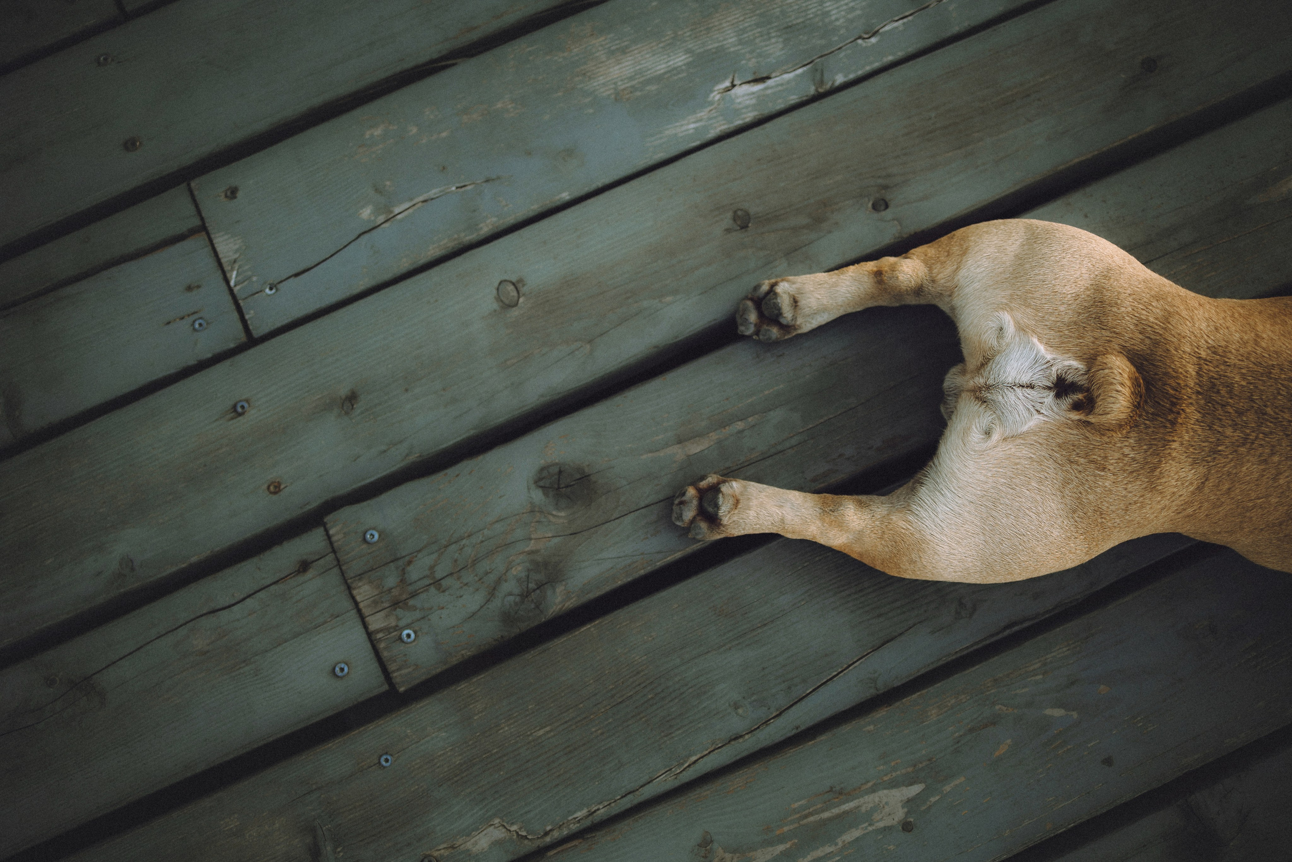 Настя, Женя и Хонор