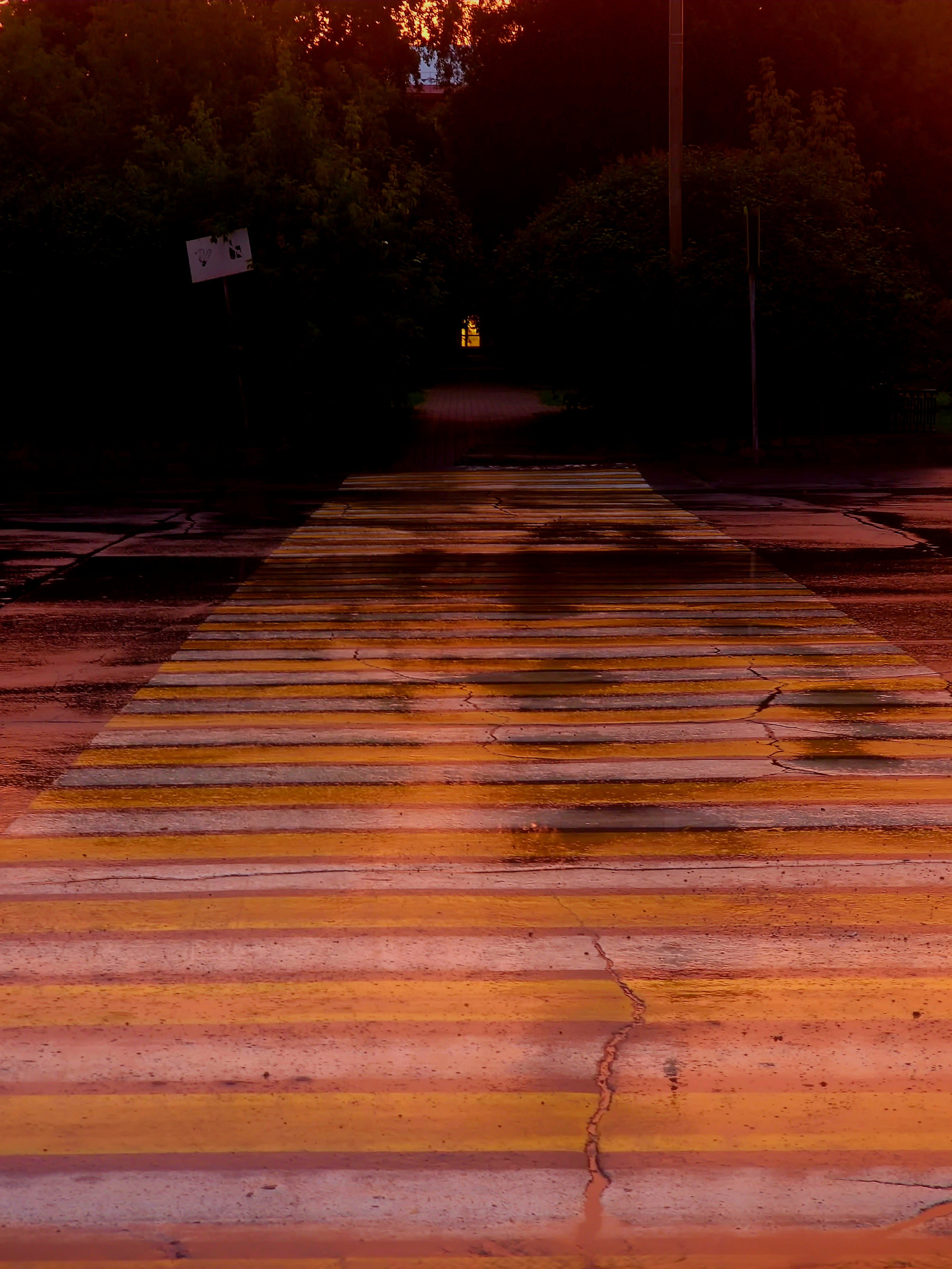 Август 2025. Den Mirov — Фотограф, Музыкант