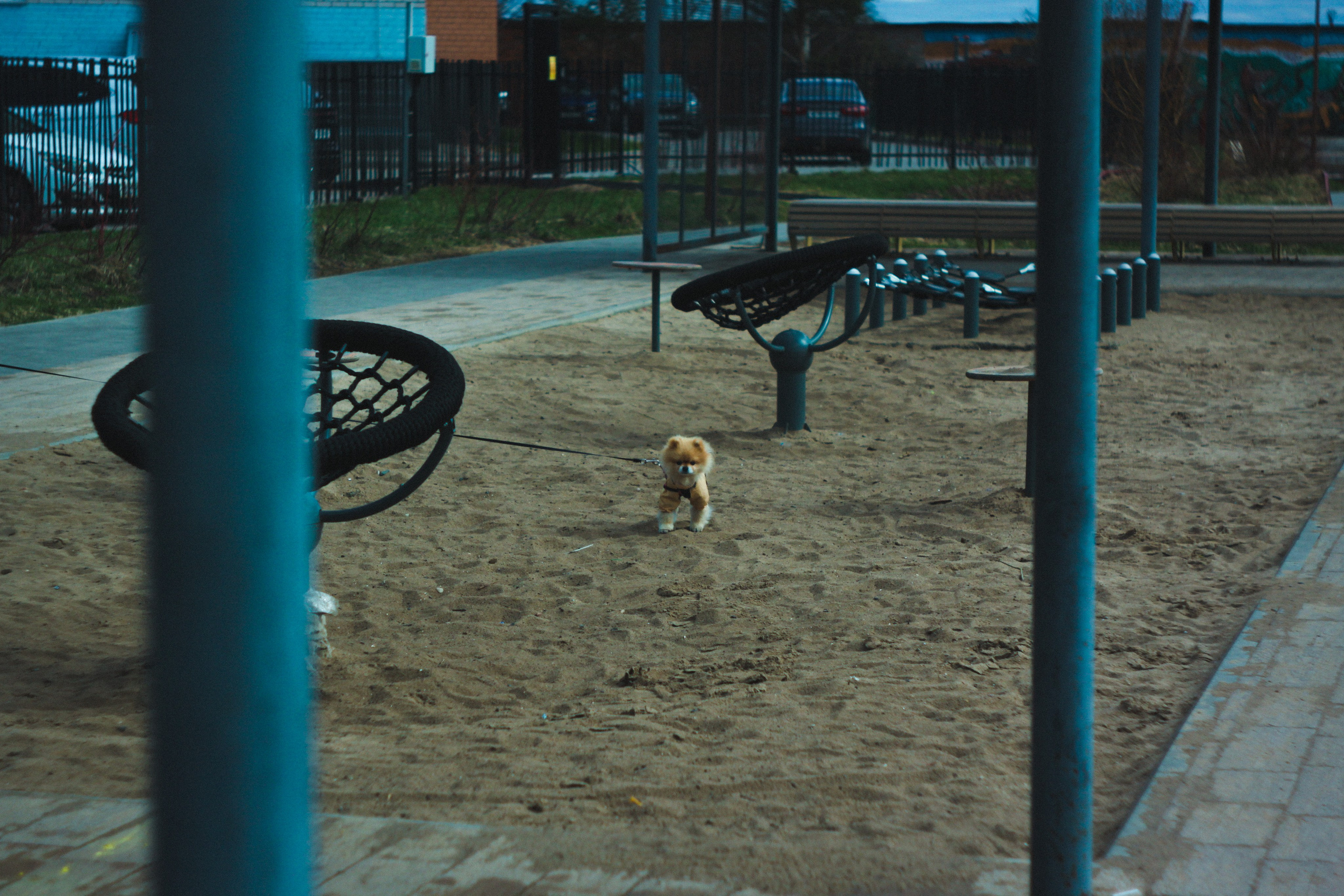 Градус смелости. Den Mirov — Фотограф, Музыкант