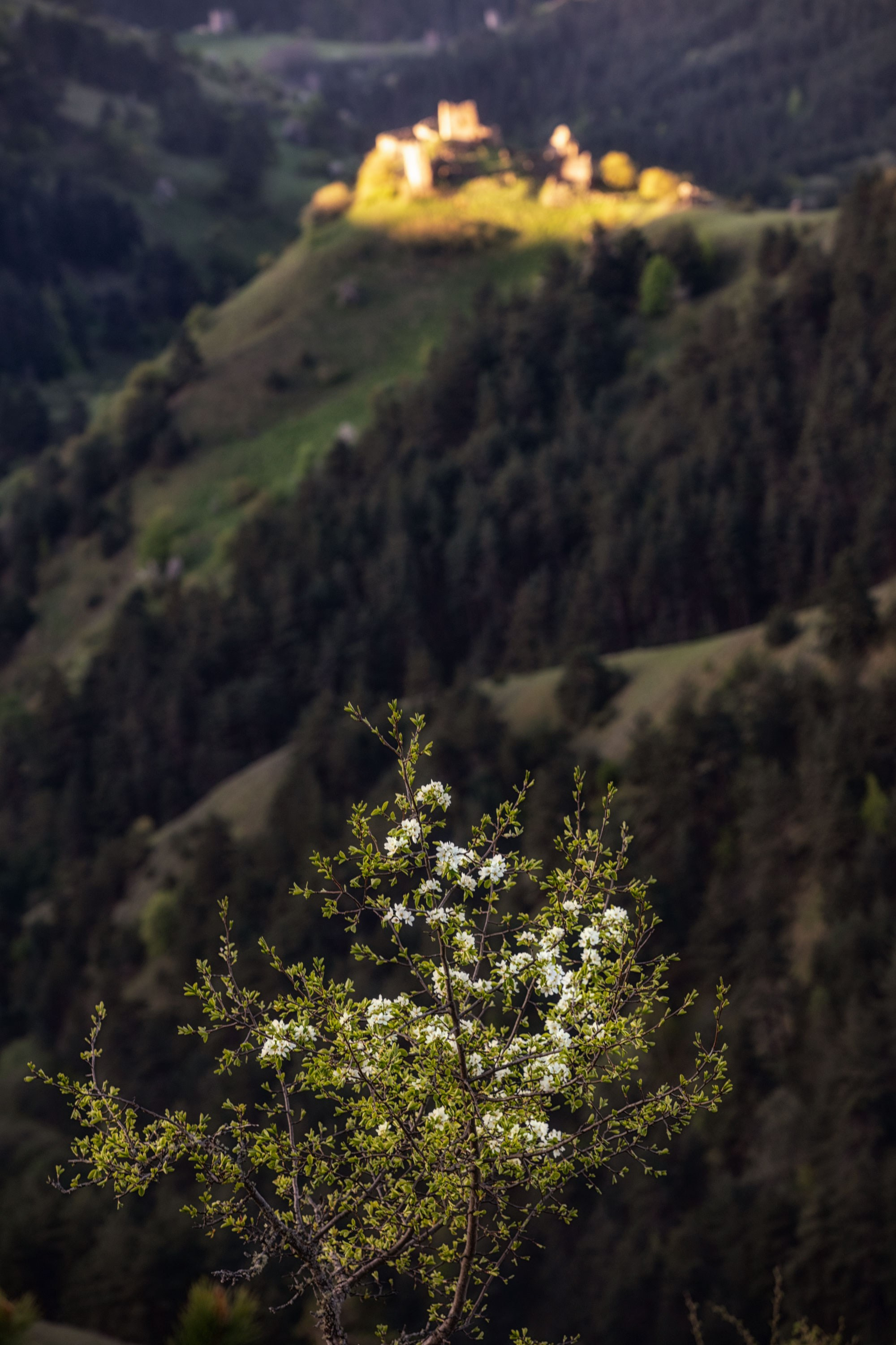 Ингушетия. Заповедник Эрзи. Танцы и балет, эротика, ню фотосессии в Москве. Valius Werwolf