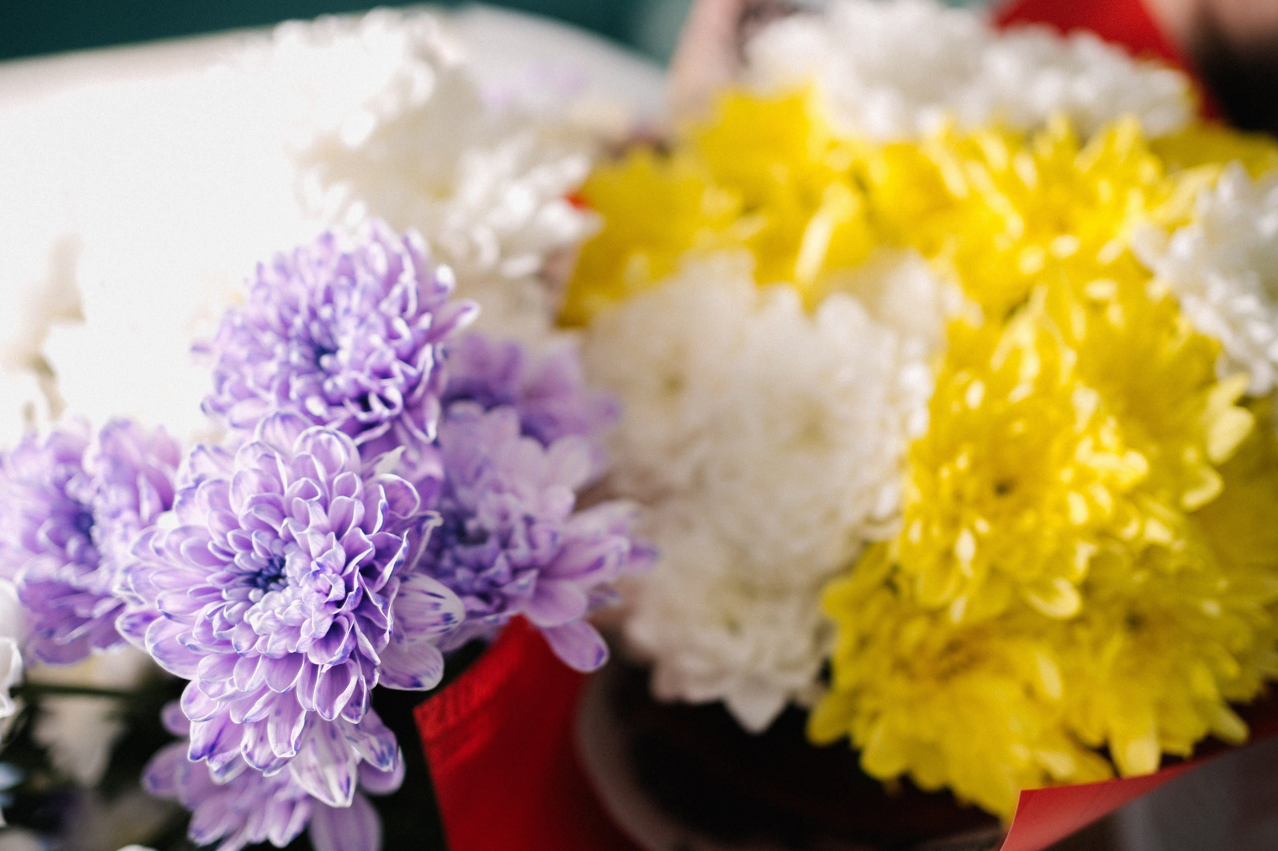 Дарья и Владислав. Фотограф на любое событие в Кемерово