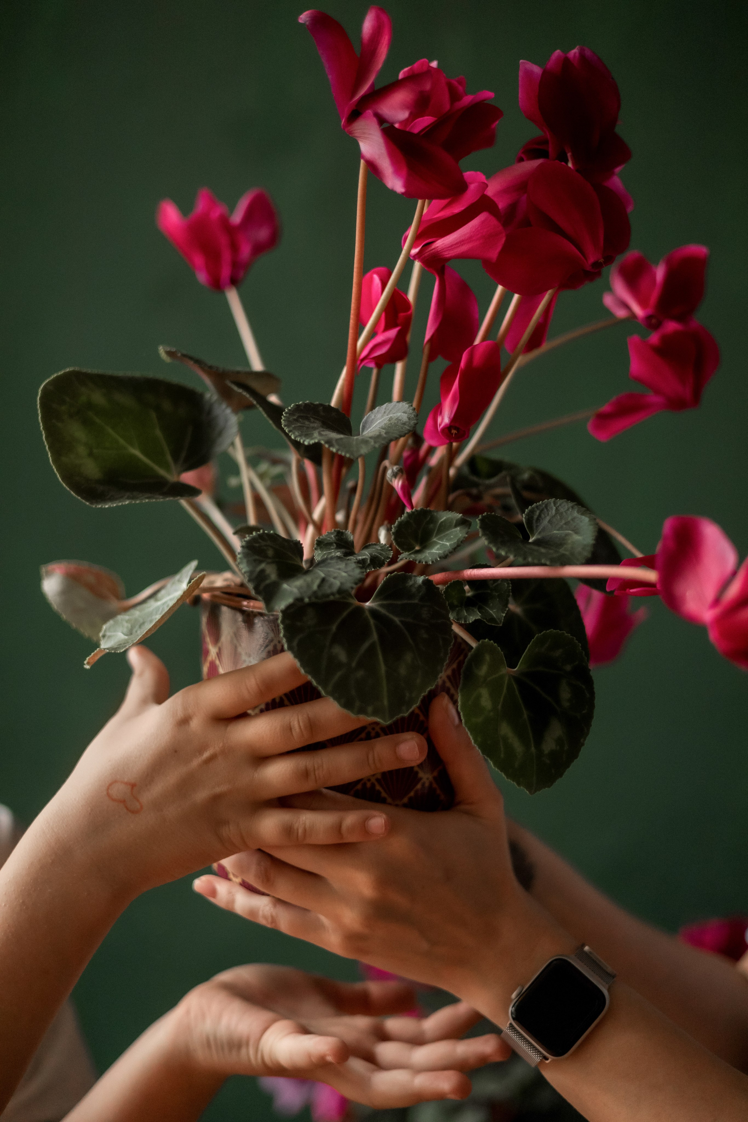 Когда любовь…. Семейный фотограф Вита Лифанова Брянск LifeStyle