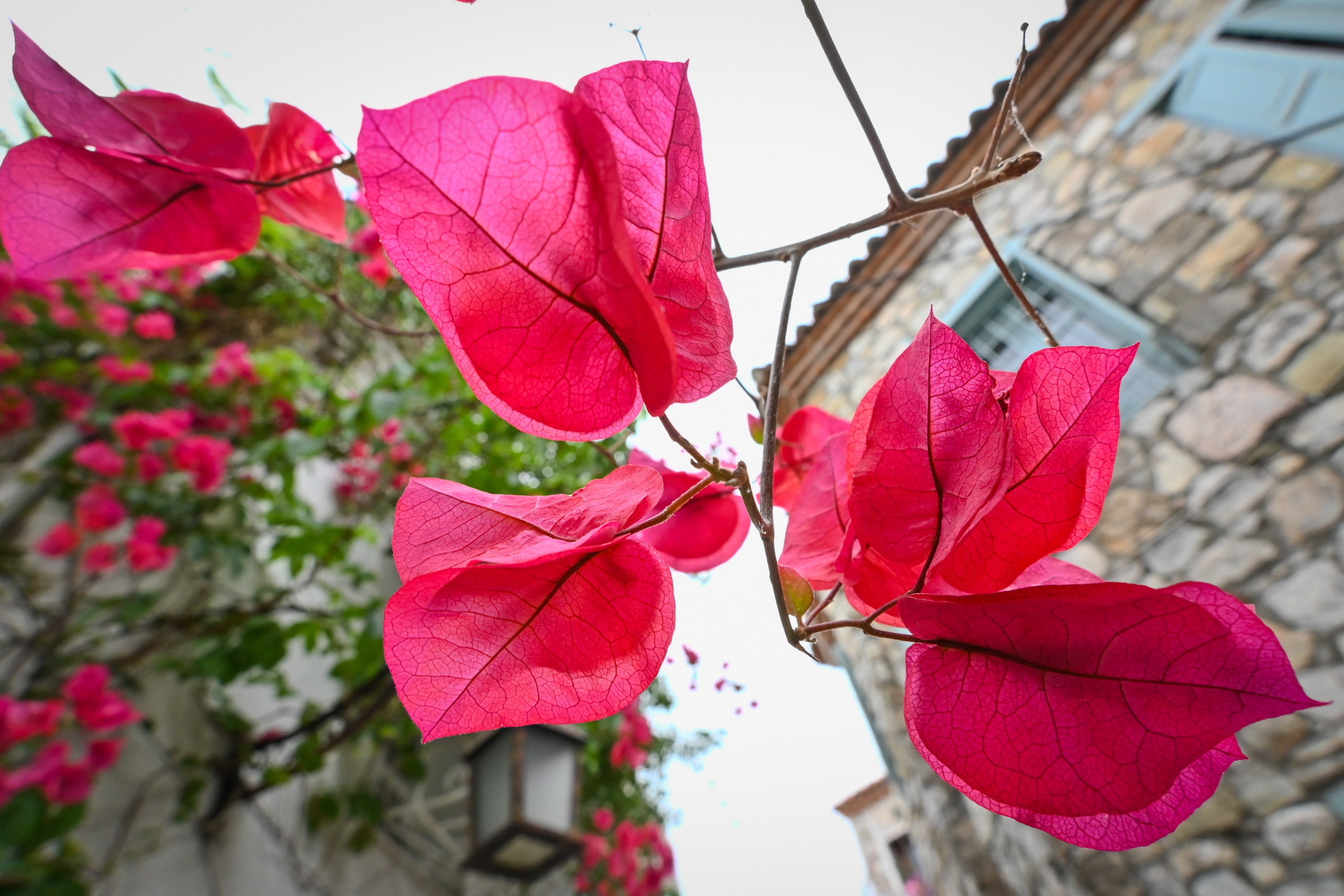 Тревел фото