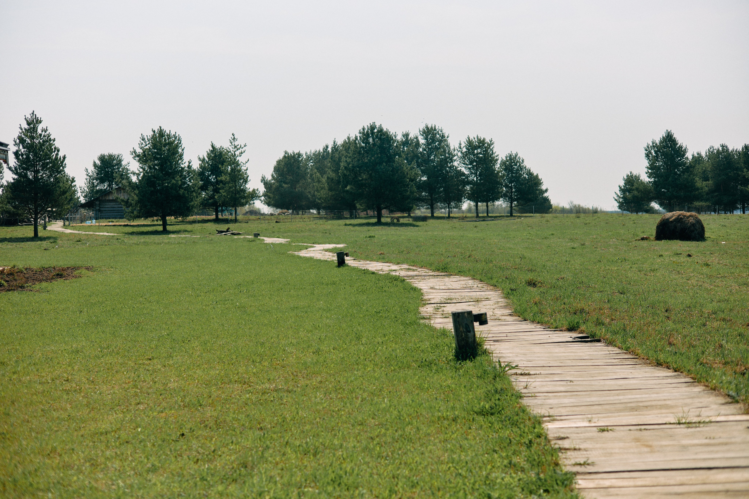 Бутик-отель Поле летом. Профессиональный Фотограф во Владимире, в Москве и в Суздале — Полина Романычева