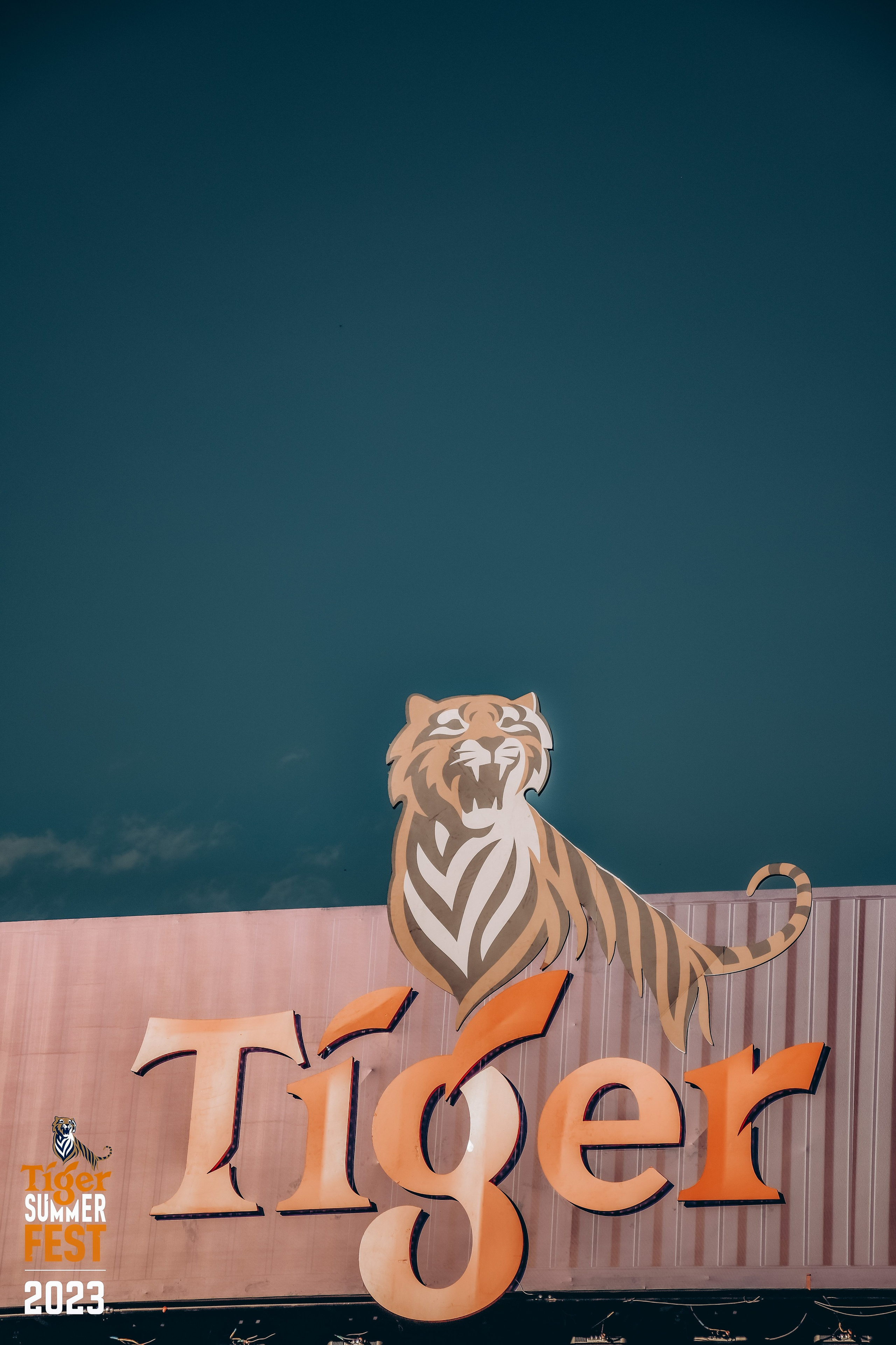 Tiger Fest. Фотограф в Алматы