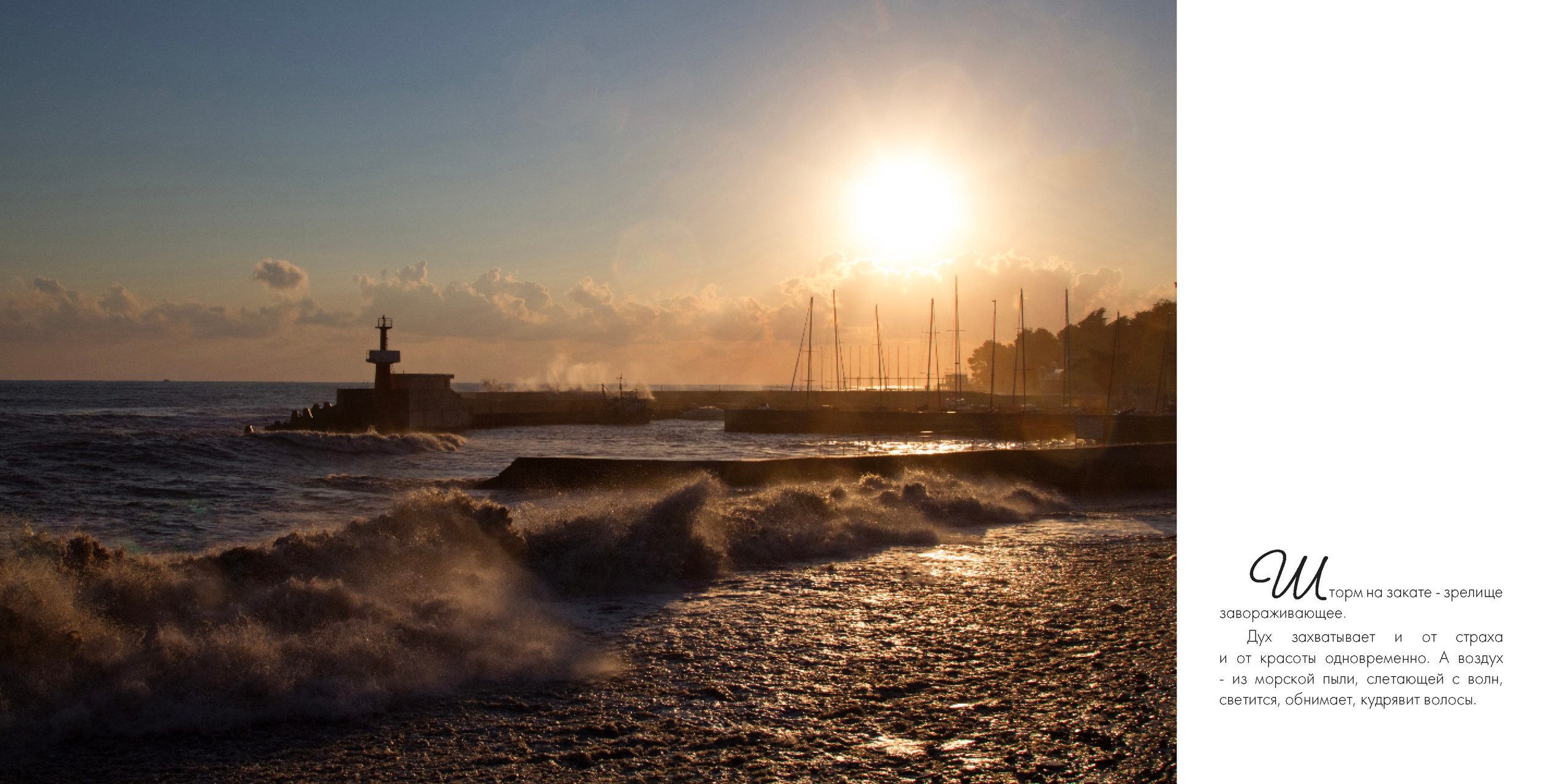 BEST FAMILY BOOK 2017