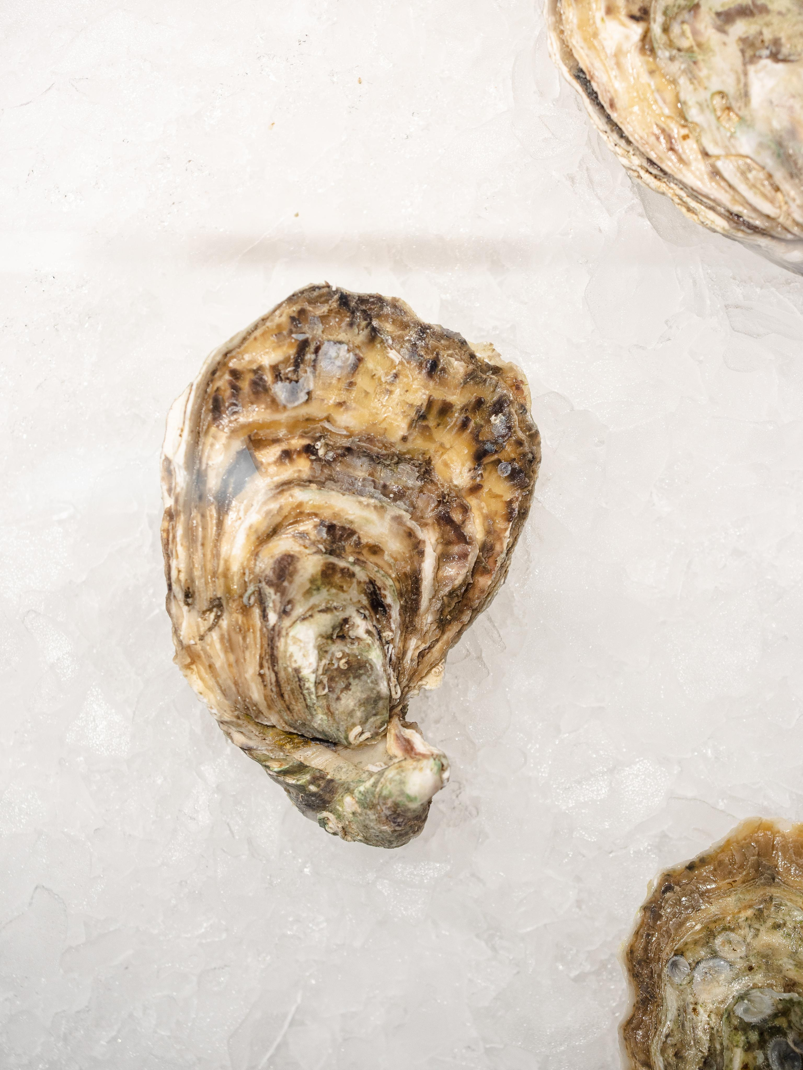 Съёмка для Fisha Raw bar and Grill. Фотограф Калинич Юлия