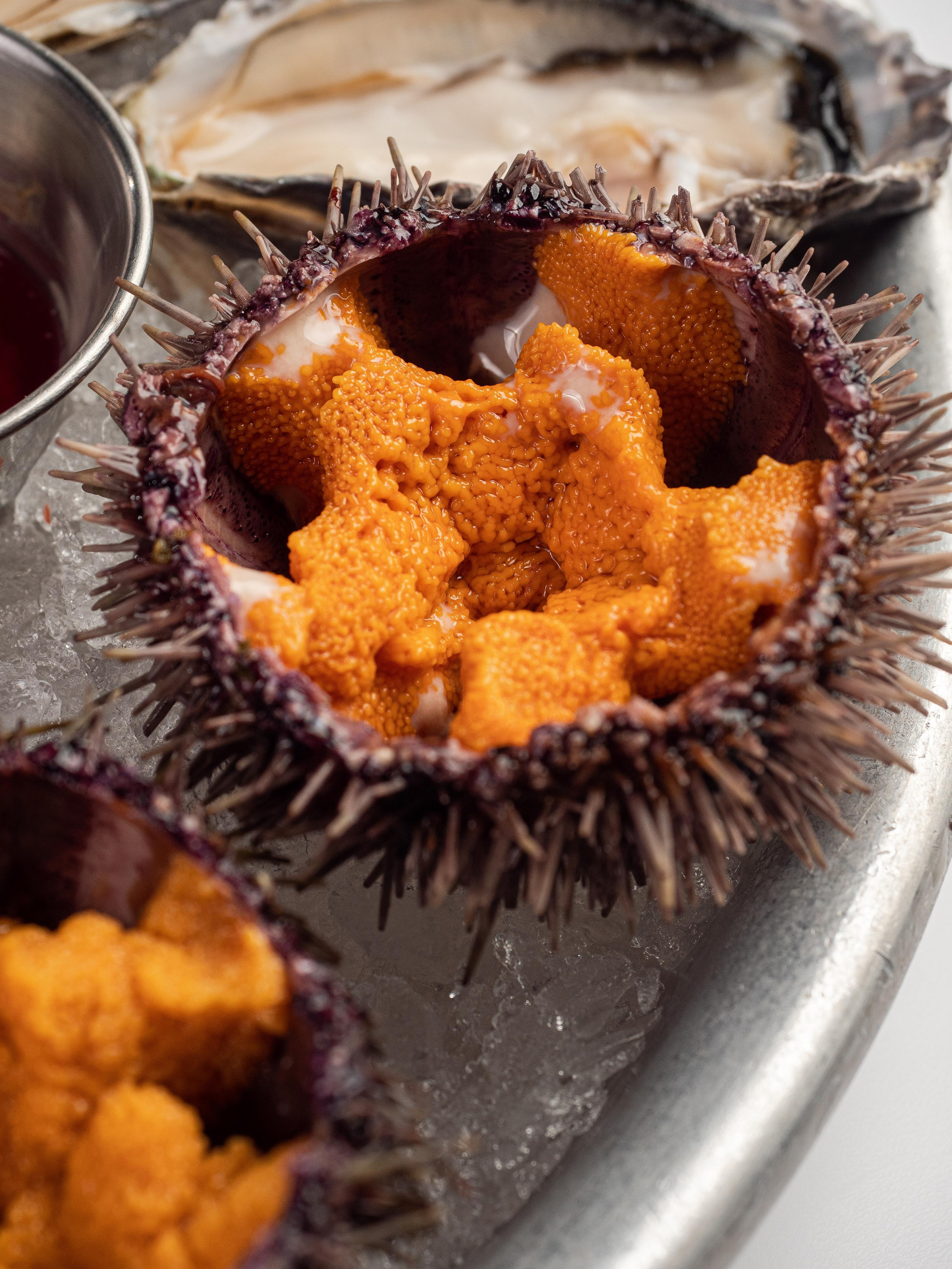 Съёмка для Fisha Raw bar and Grill. Фотограф Калинич Юлия