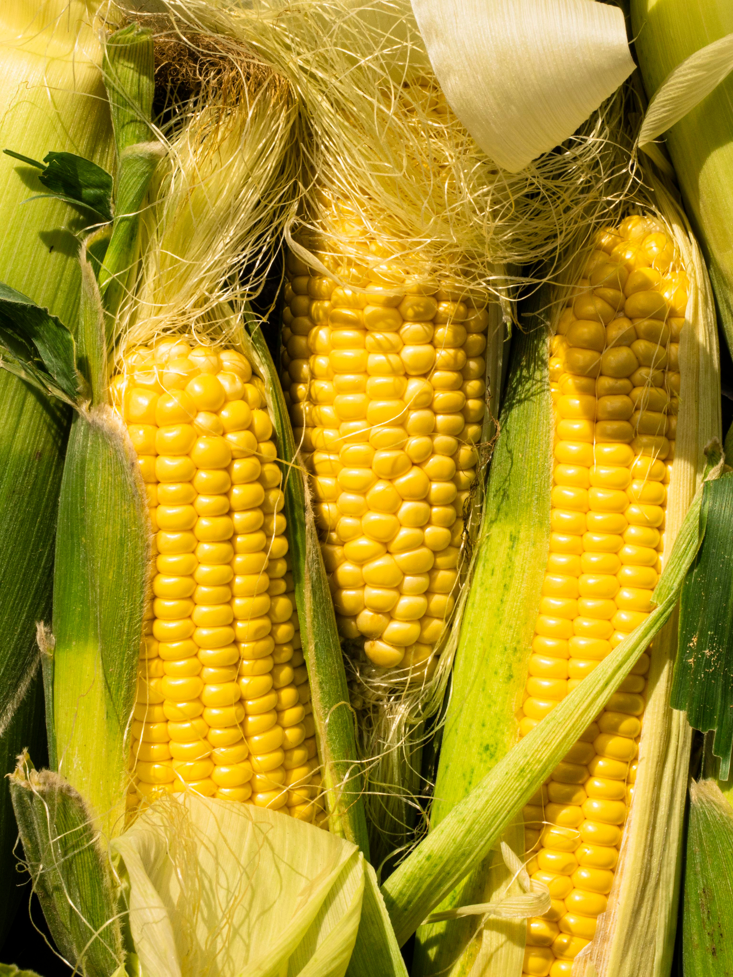 Фотосъёмка для Василеостровского рынка. Фотограф Калинич Юлия