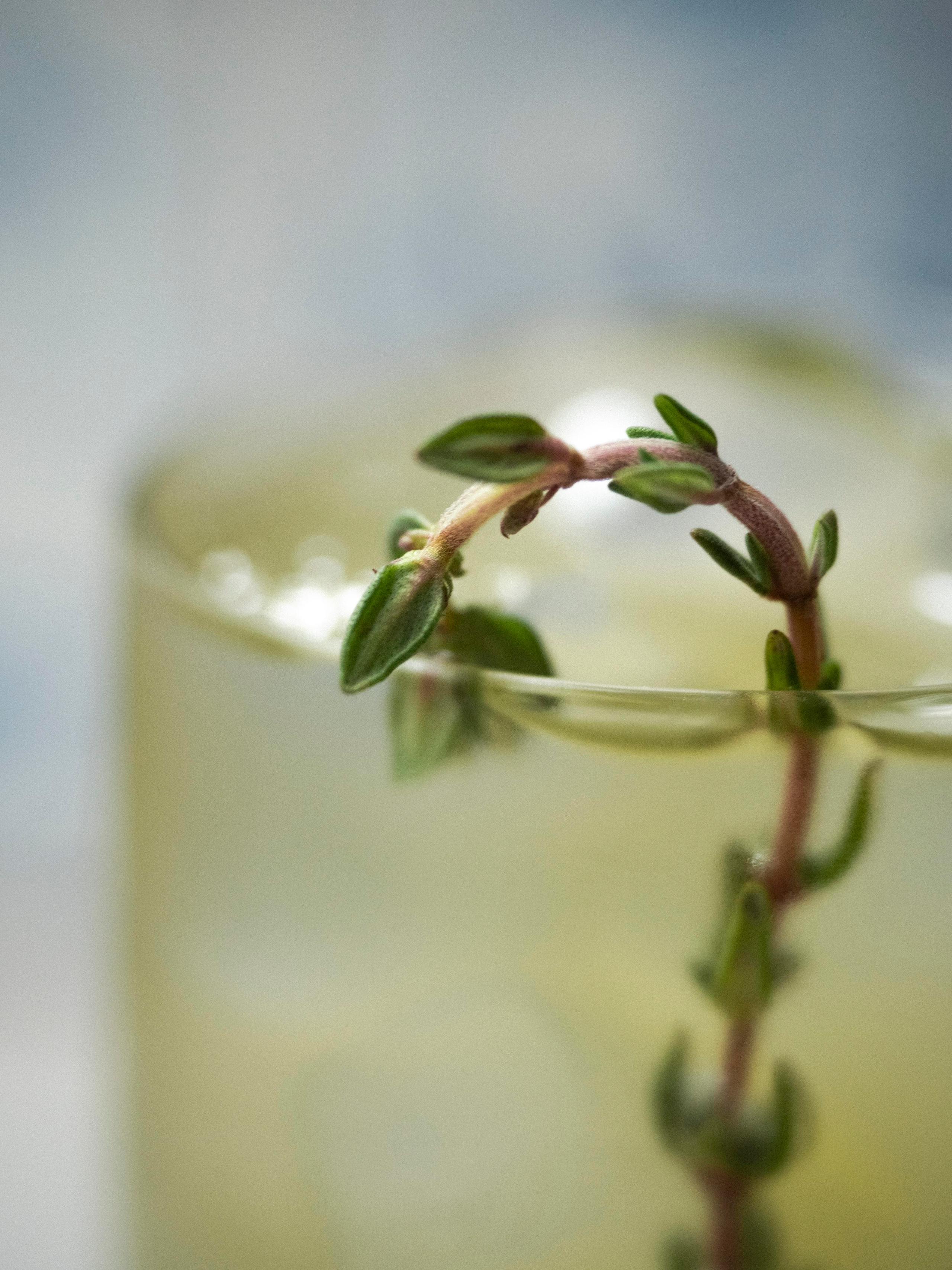 Съёмка для кофейни Civil. Фотограф Калинич Юлия