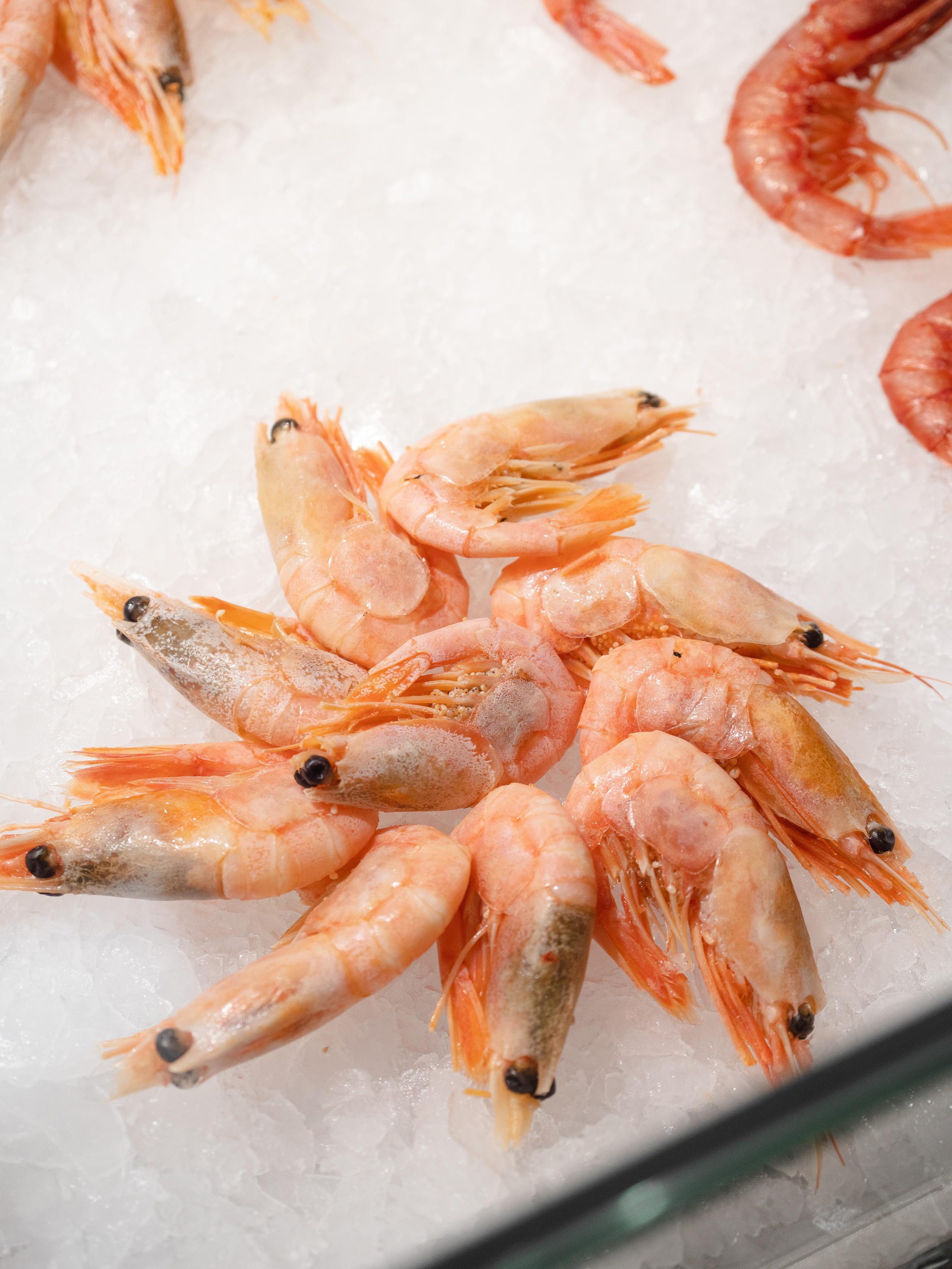 Съёмка для Fisha Raw bar and Grill. Фотограф Калинич Юлия