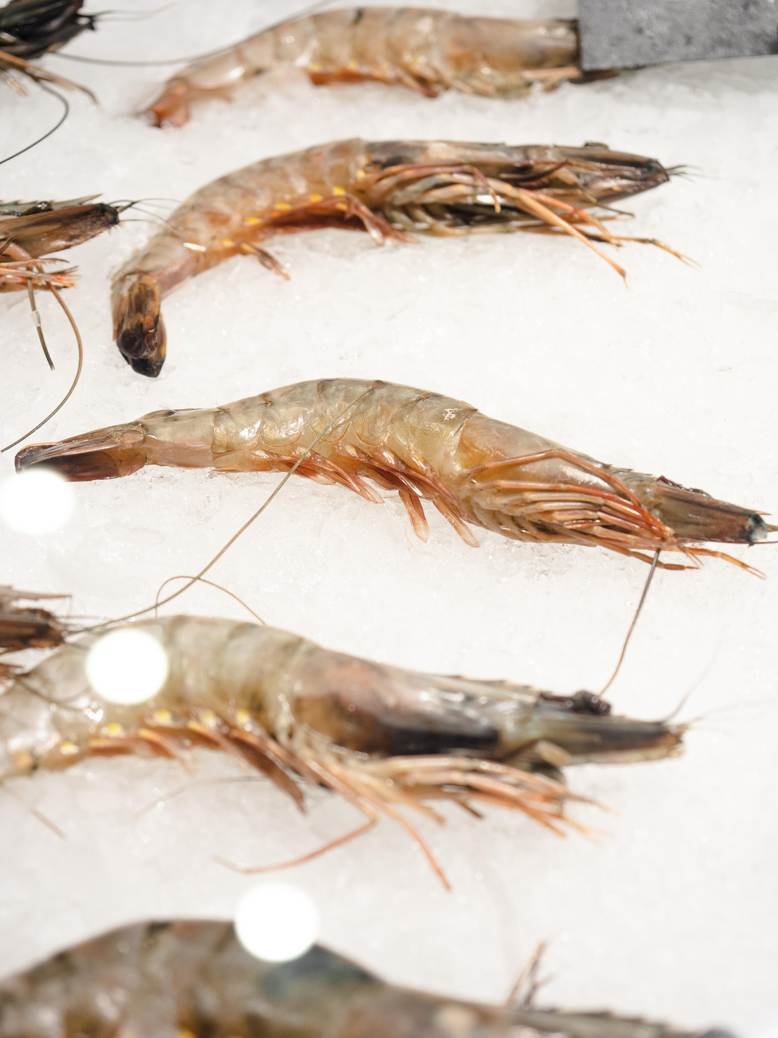 Съёмка для Fisha Raw bar and Grill. Фотограф Калинич Юлия