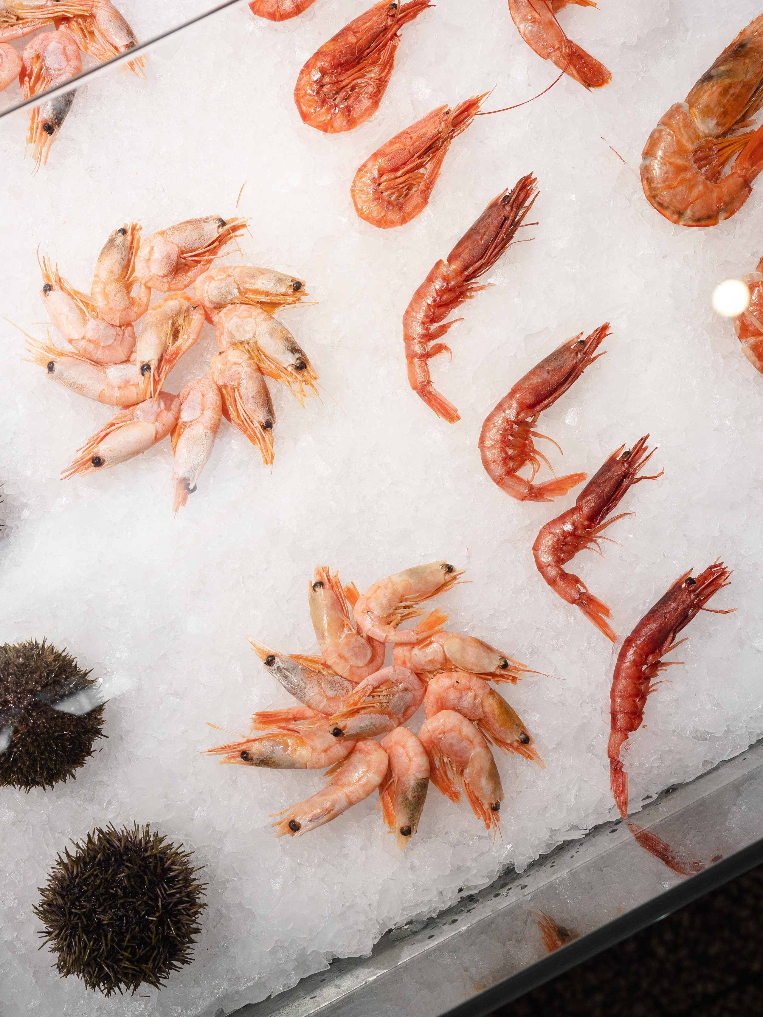 Съёмка для Fisha Raw bar and Grill. Фотограф Калинич Юлия