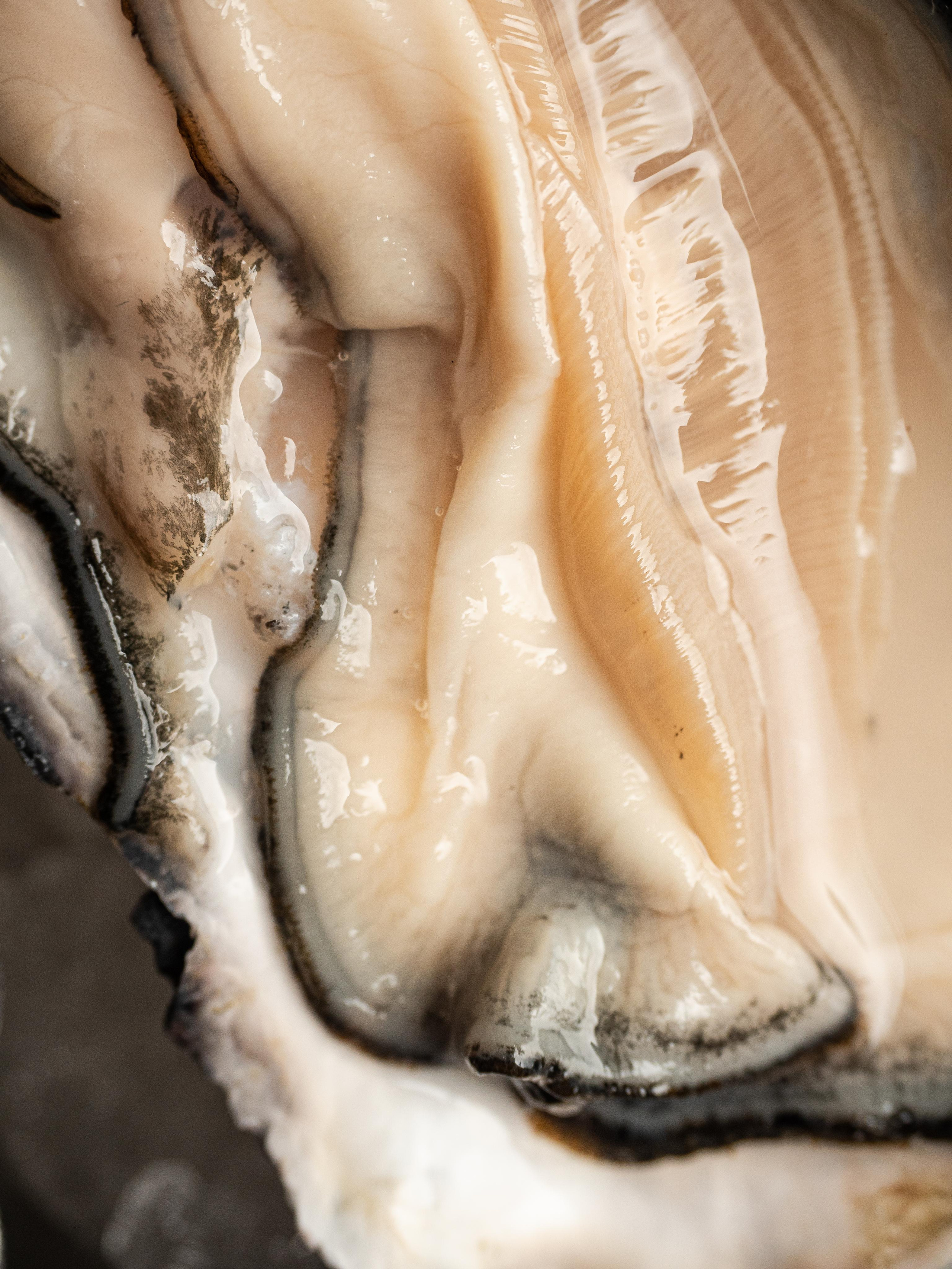 Съёмка для Fisha Raw bar and Grill. Фотограф Калинич Юлия