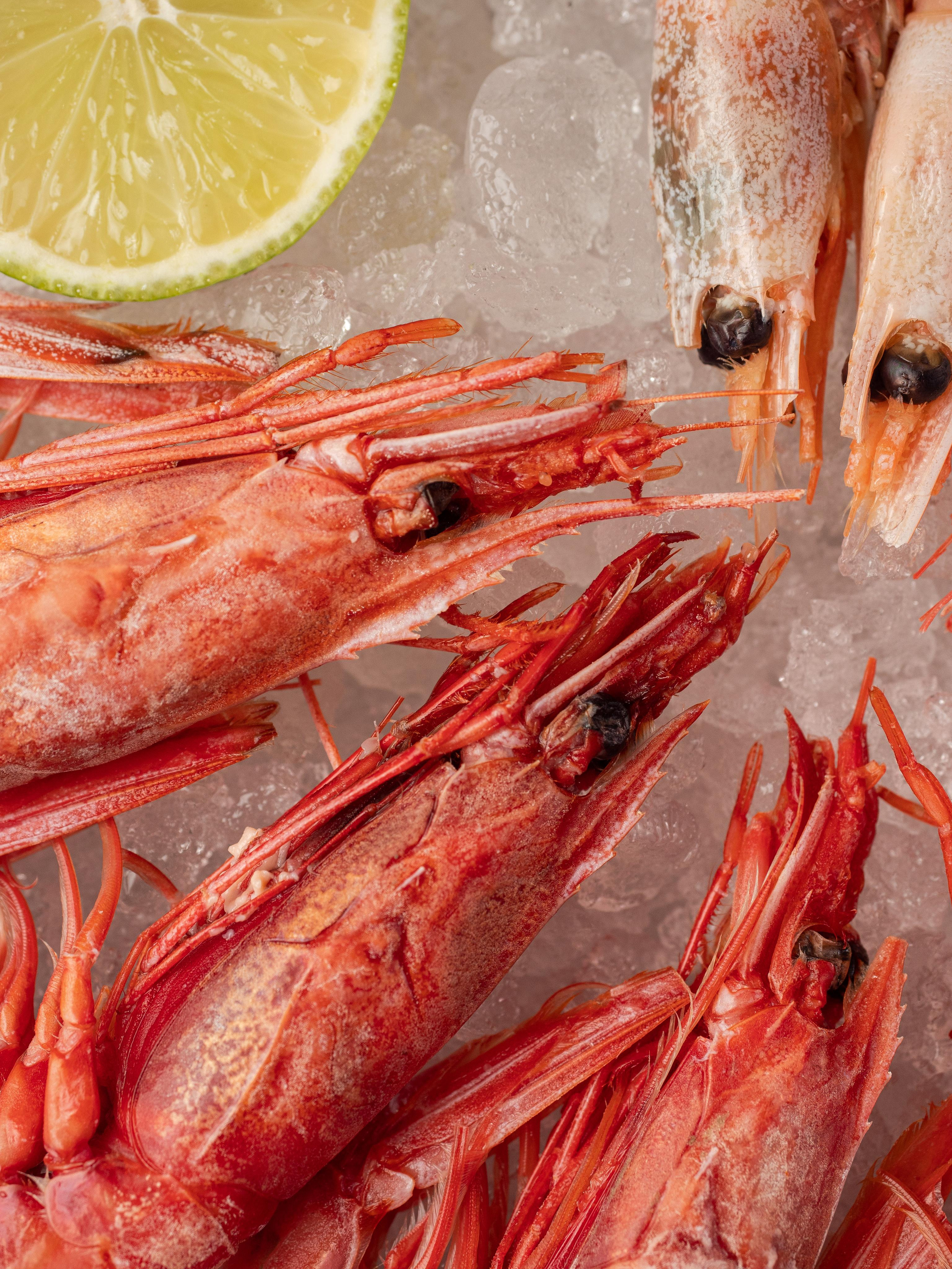 Съёмка для Fisha Raw bar and Grill. Фотограф Калинич Юлия