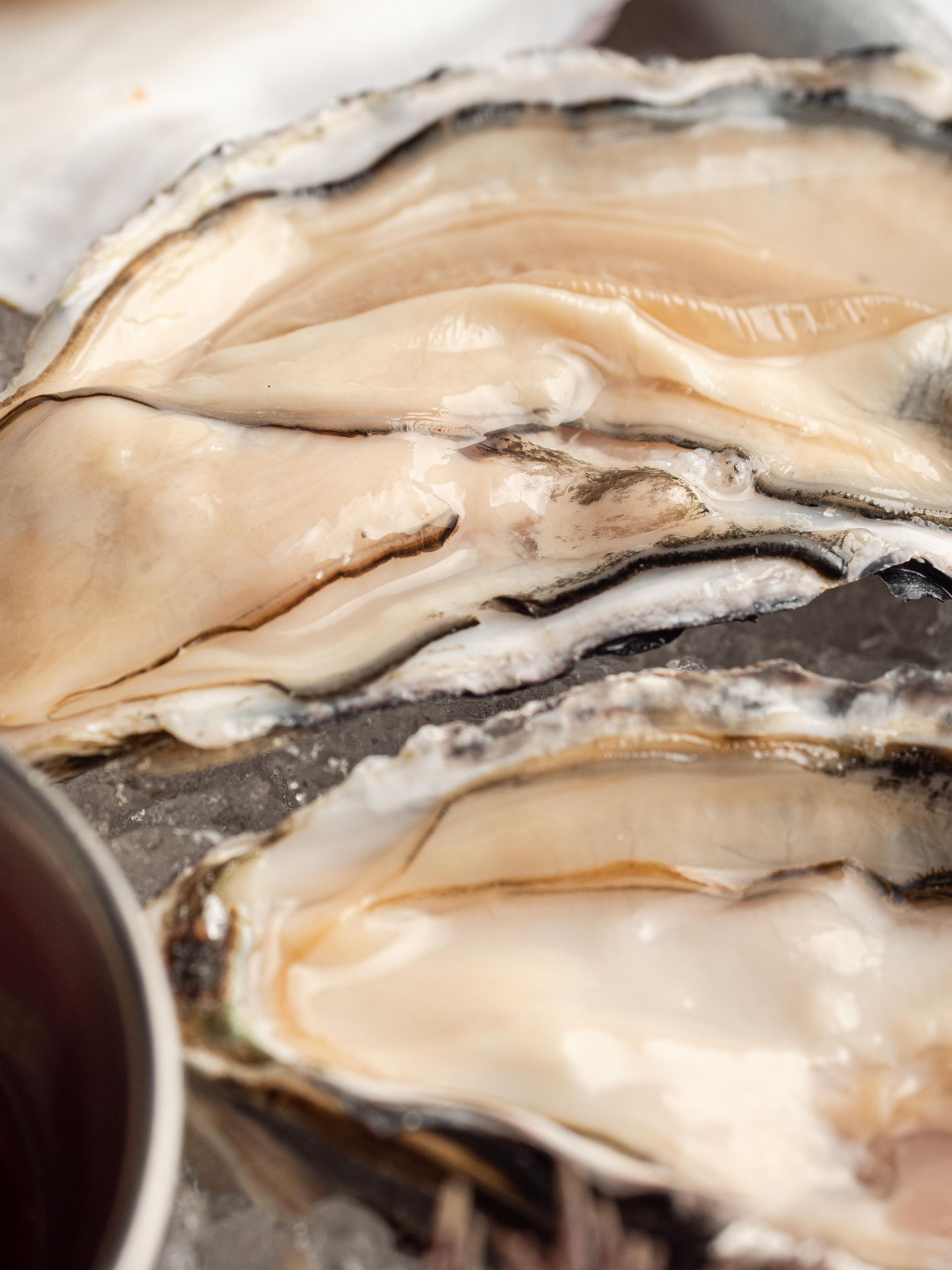 Съёмка для Fisha Raw bar and Grill. Фотограф Калинич Юлия