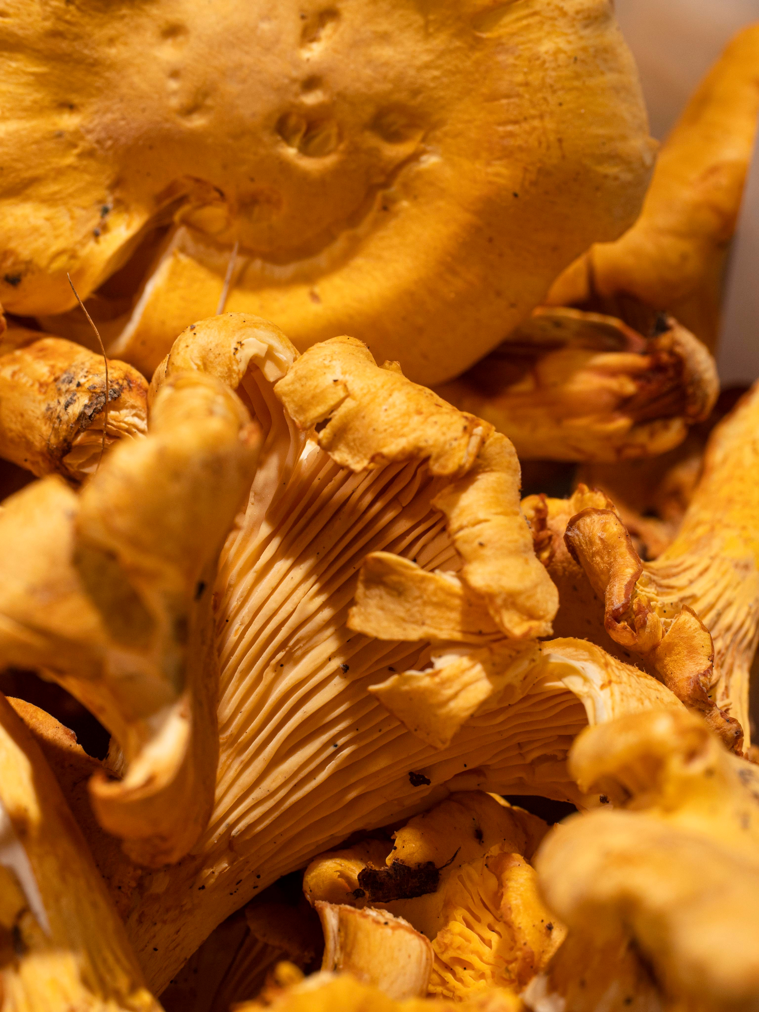 Фотосъёмка для Василеостровского рынка. Фотограф Калинич Юлия