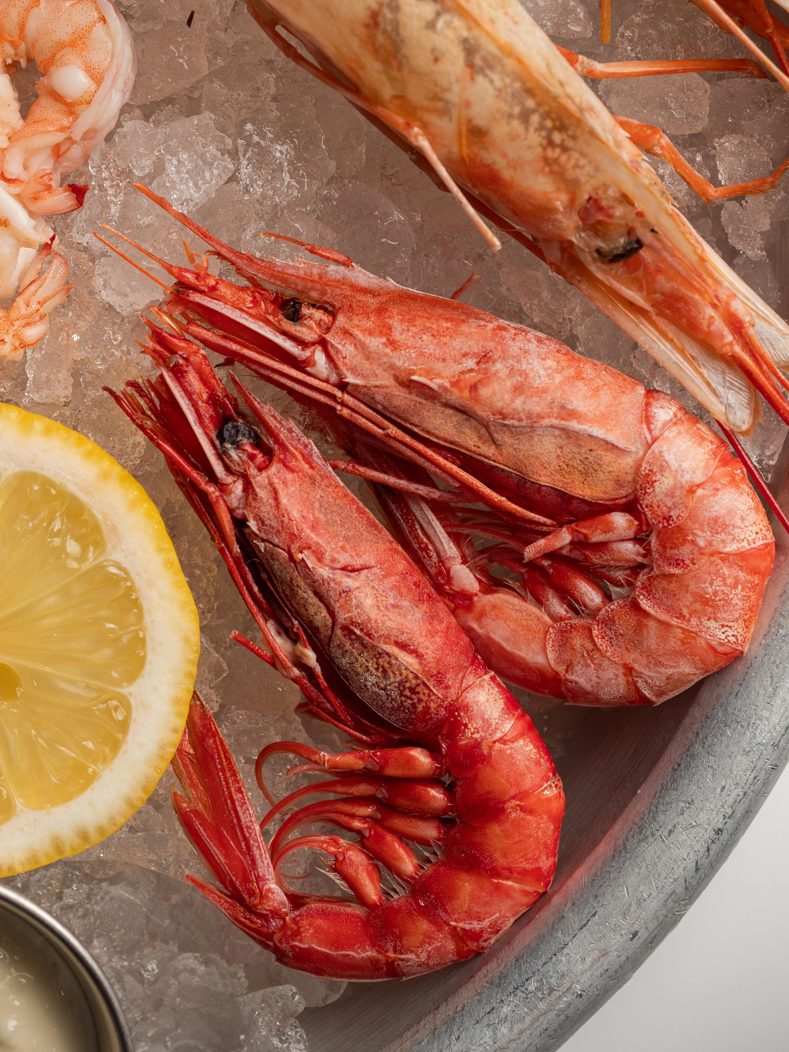 Съёмка для Fisha Raw bar and Grill. Фотограф Калинич Юлия