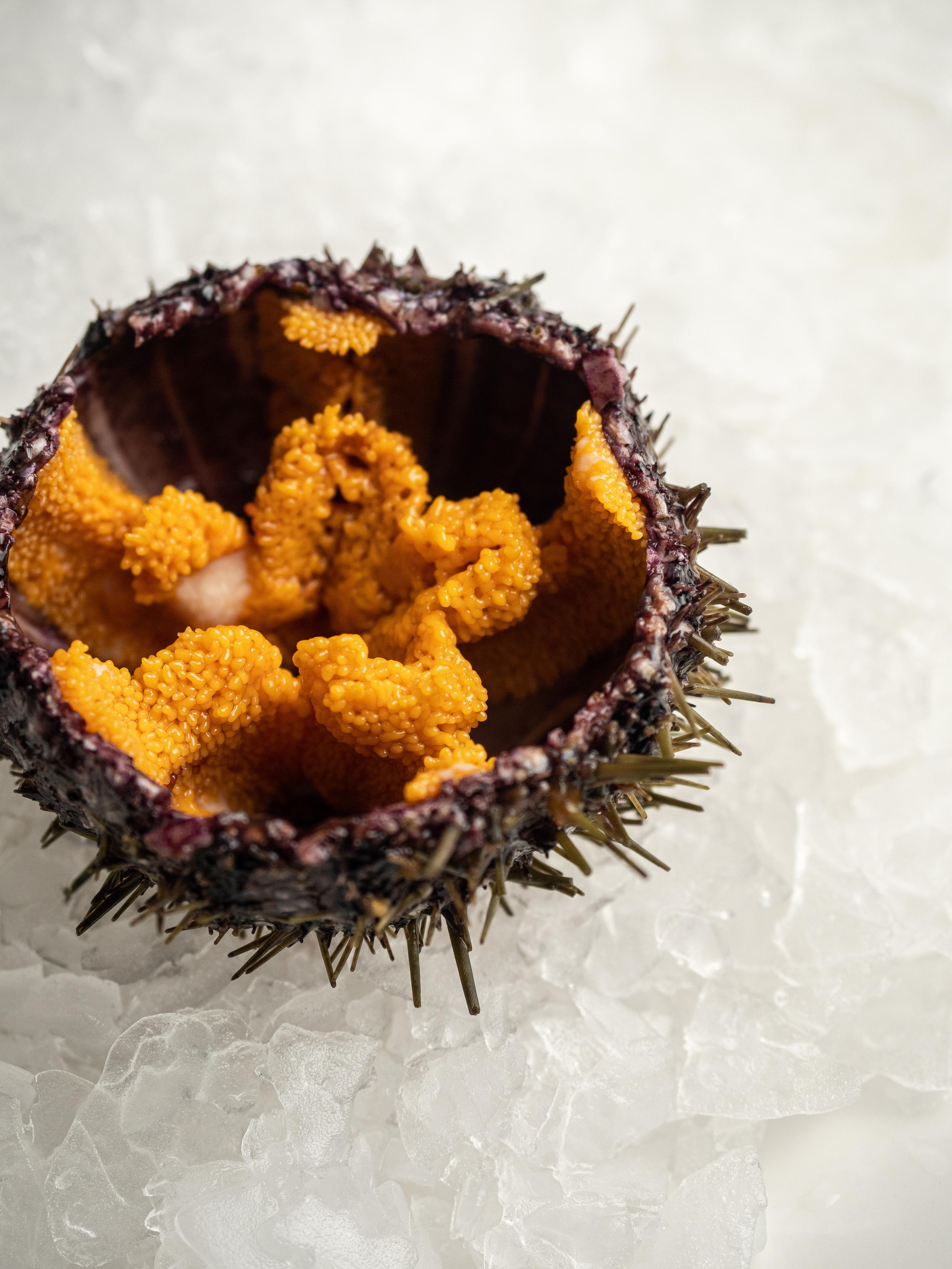 Съёмка для Fisha Raw bar and Grill. Фотограф Калинич Юлия