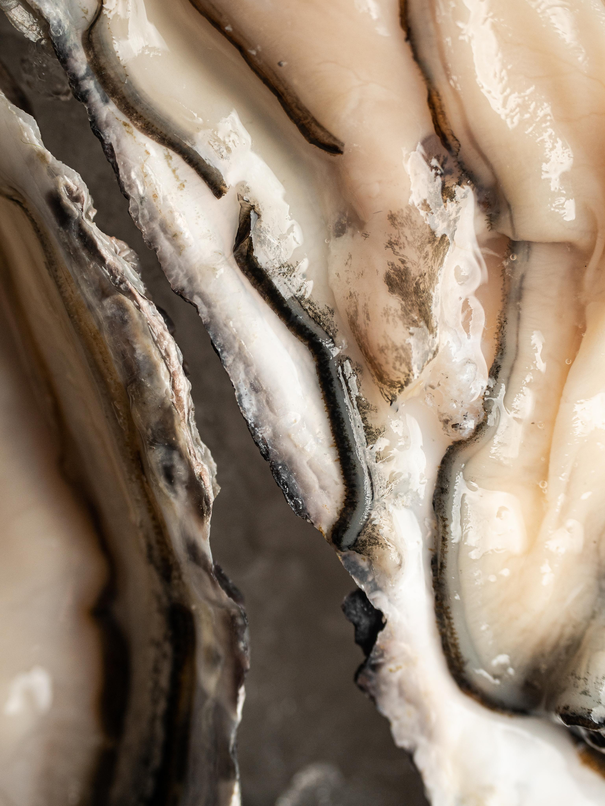 Съёмка для Fisha Raw bar and Grill. Фотограф Калинич Юлия