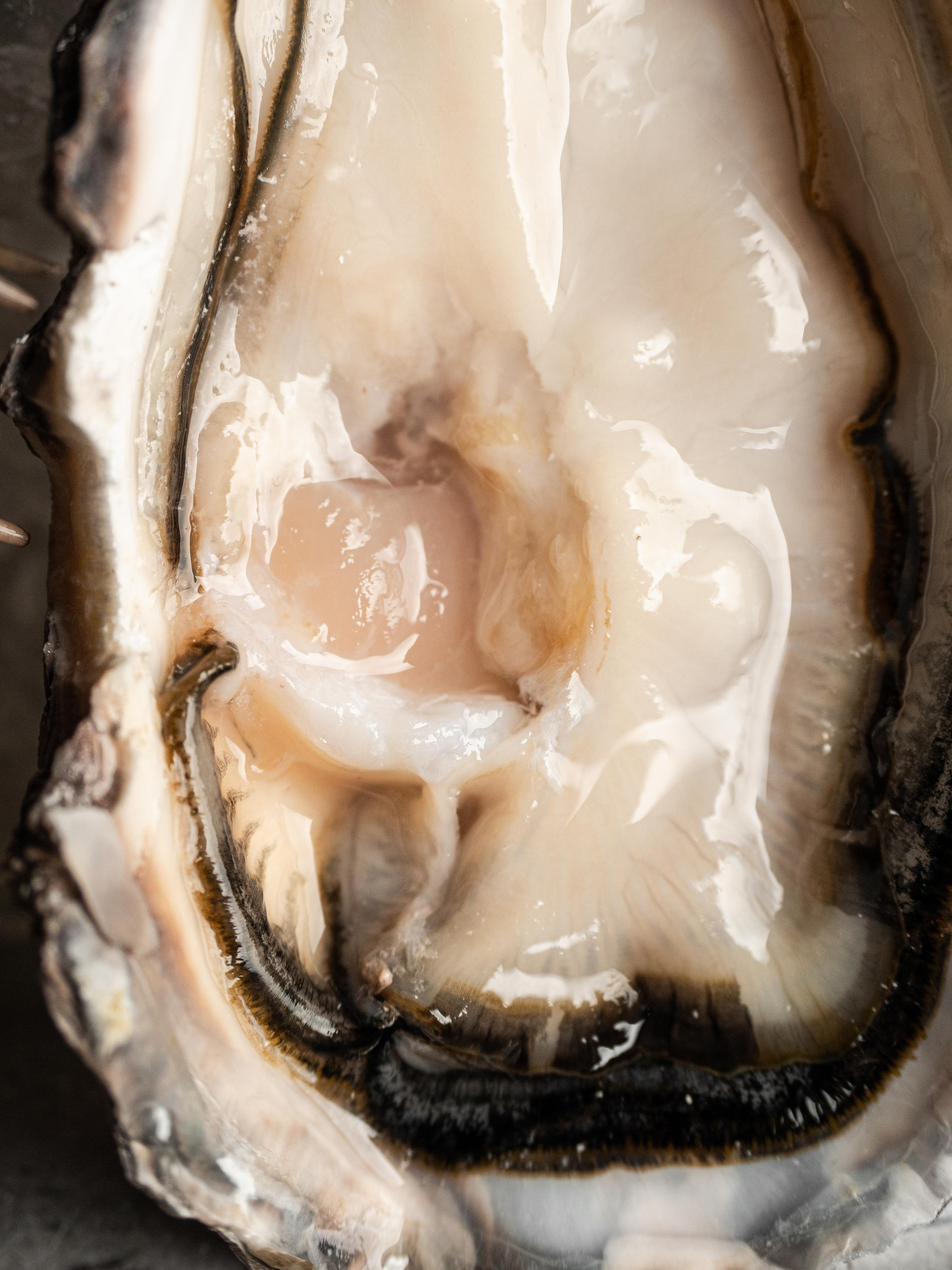 Съёмка для Fisha Raw bar and Grill. Фотограф Калинич Юлия