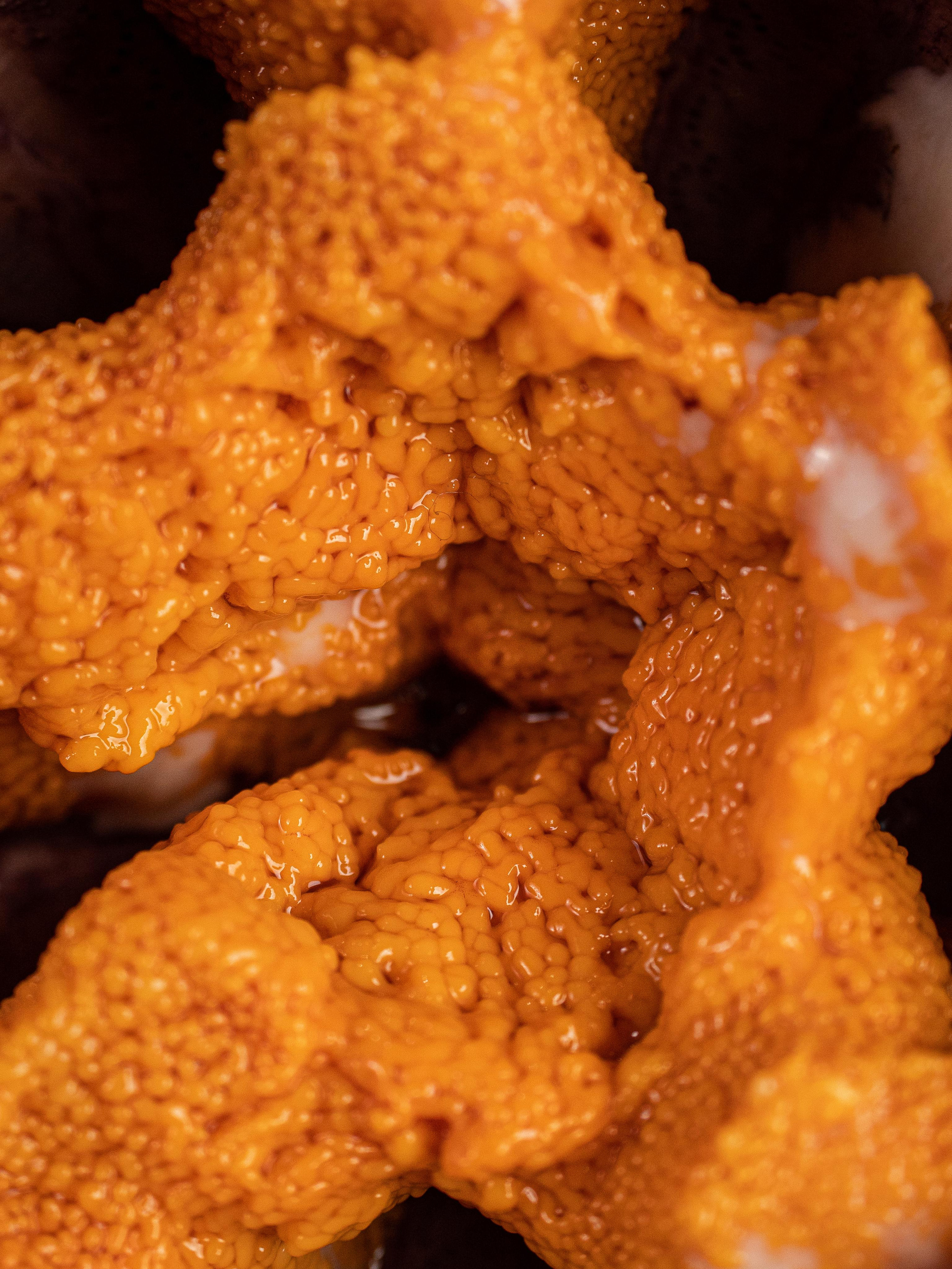 Съёмка для Fisha Raw bar and Grill. Фотограф Калинич Юлия