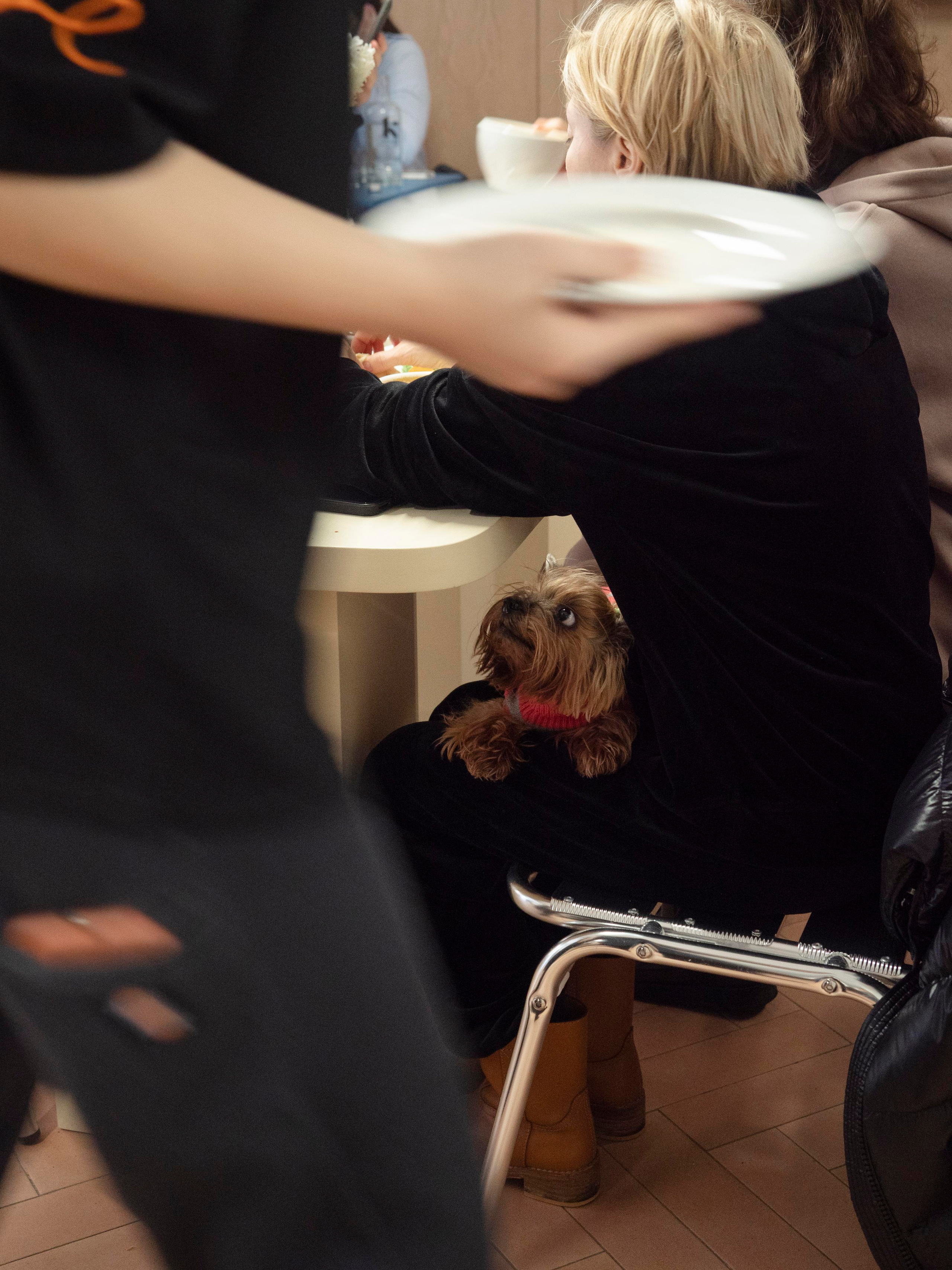 Фотосъёмка для пекарни Zoe. Фотограф Калинич Юлия