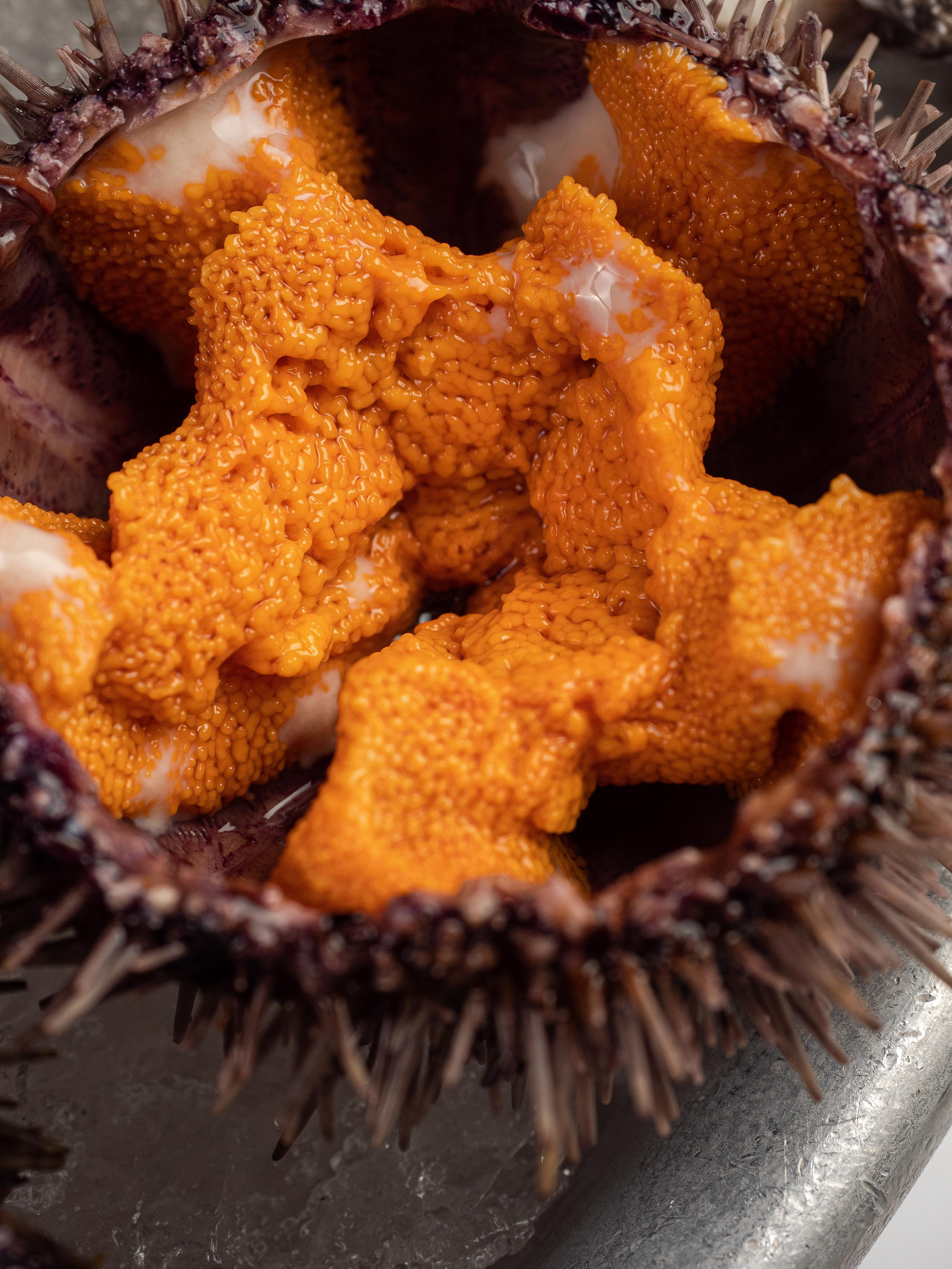 Съёмка для Fisha Raw bar and Grill. Фотограф Калинич Юлия