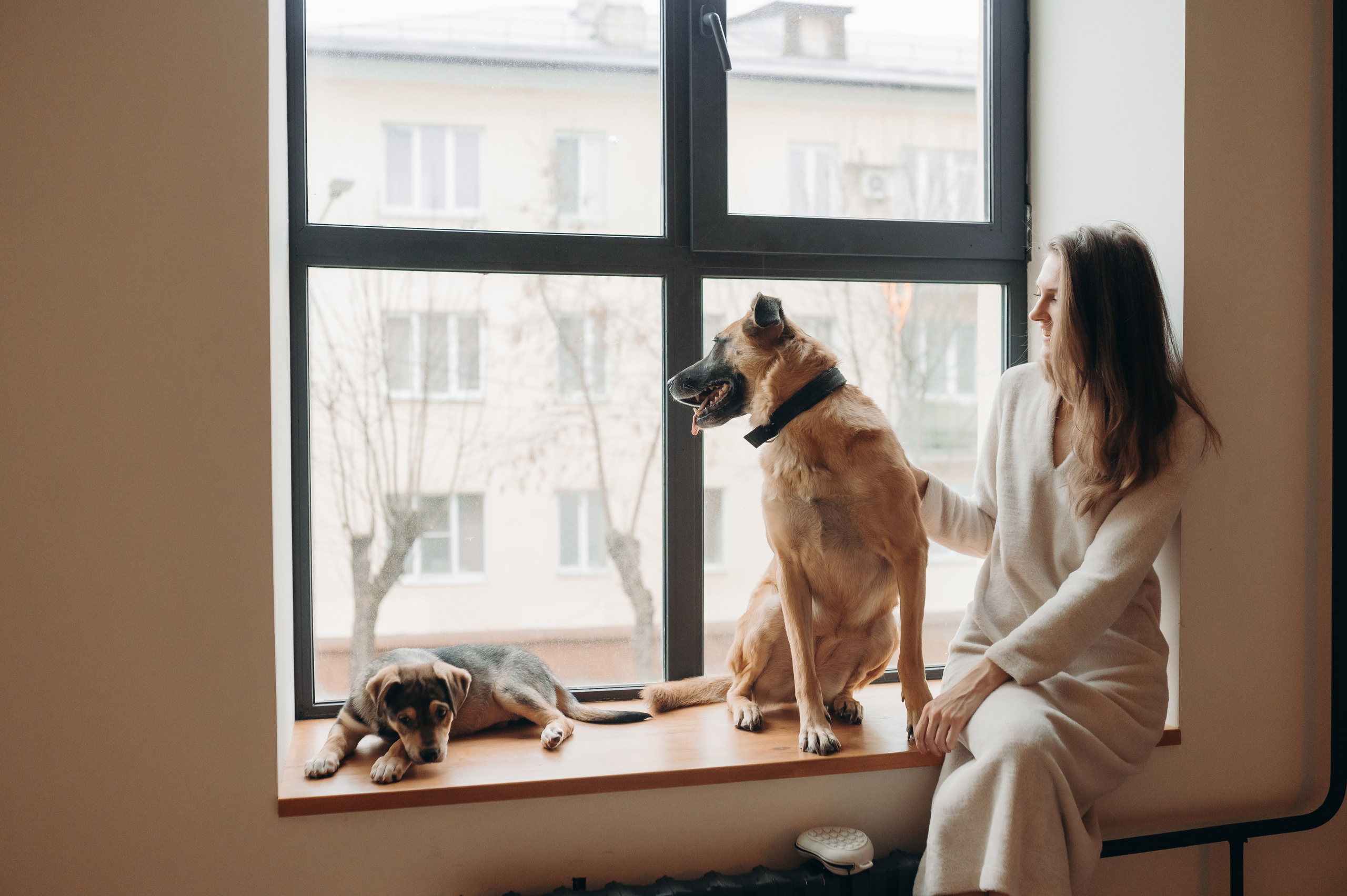 Анималистика. Главная