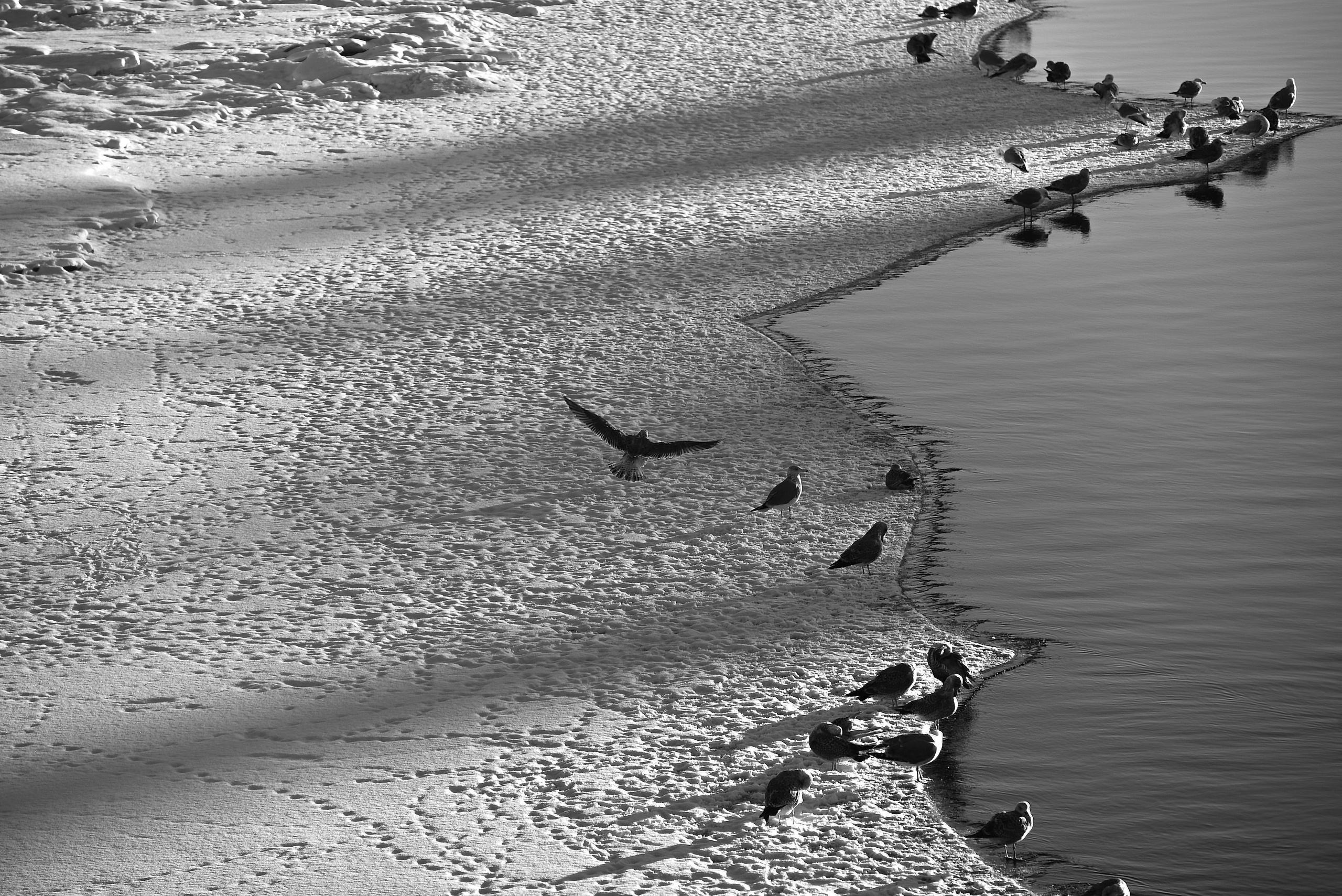 Санкт Петербург. Фотограф Милена Яновска