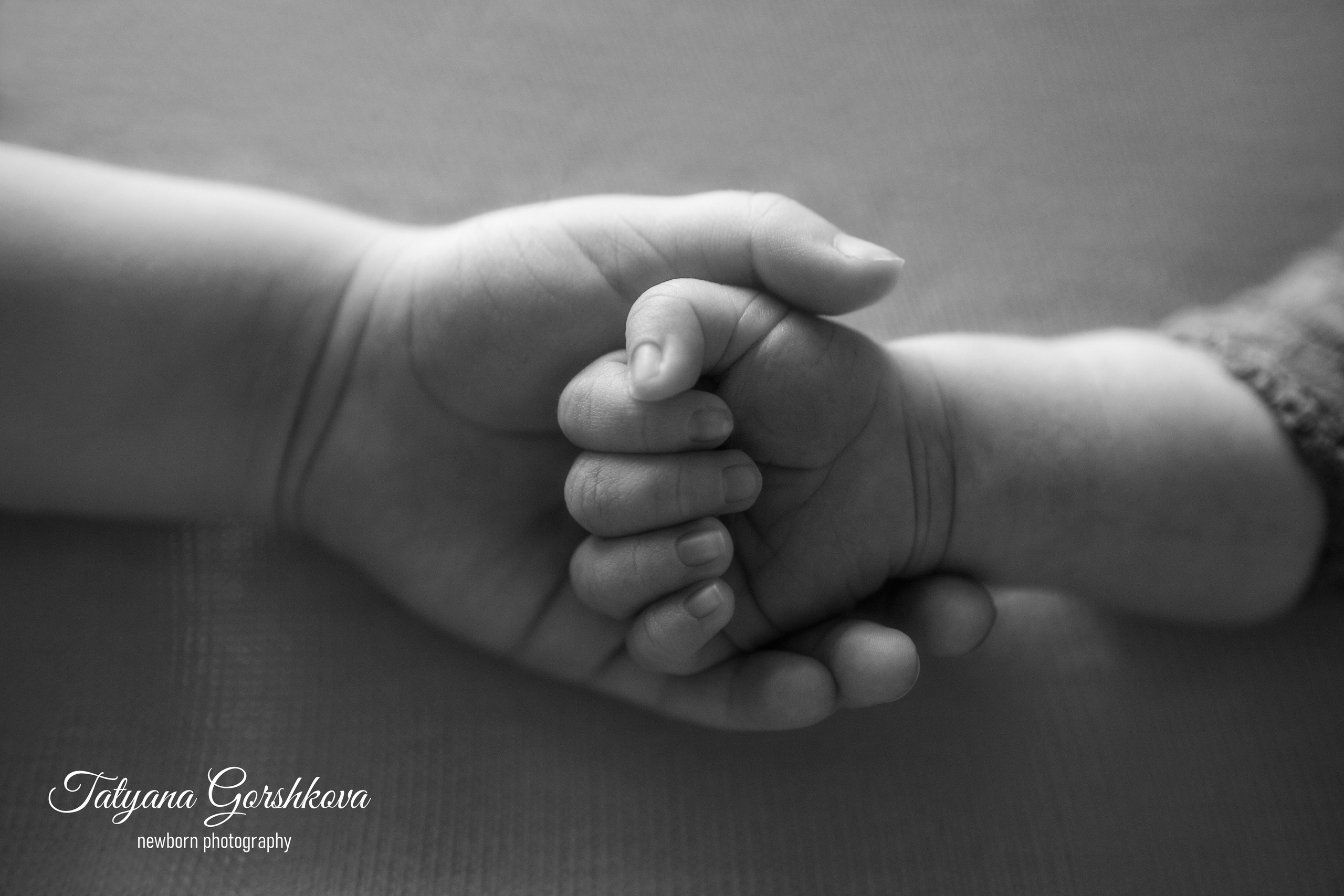 Семья. Фотограф новорождённых в Астрахани Татьяна Горшкова