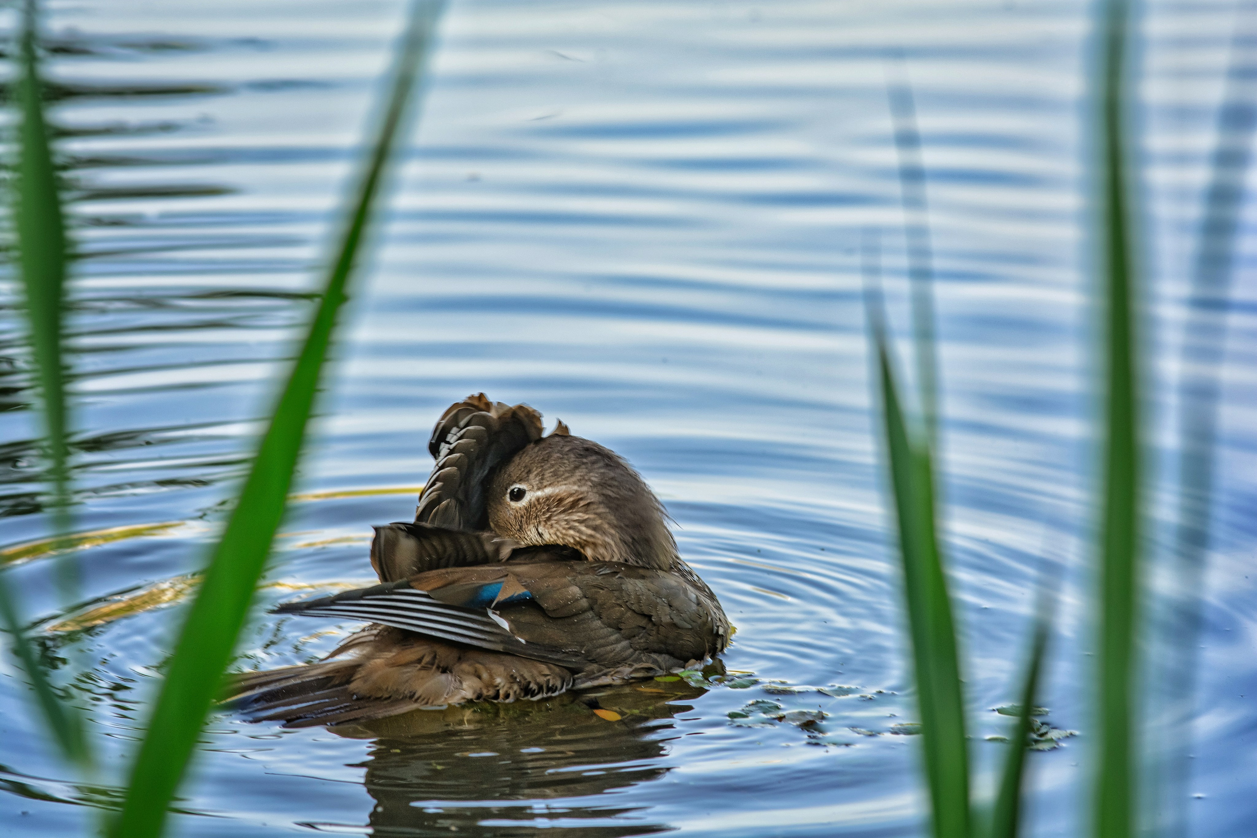 Пейзажи и дикая природа. Пейзажный и репортажный фотограф