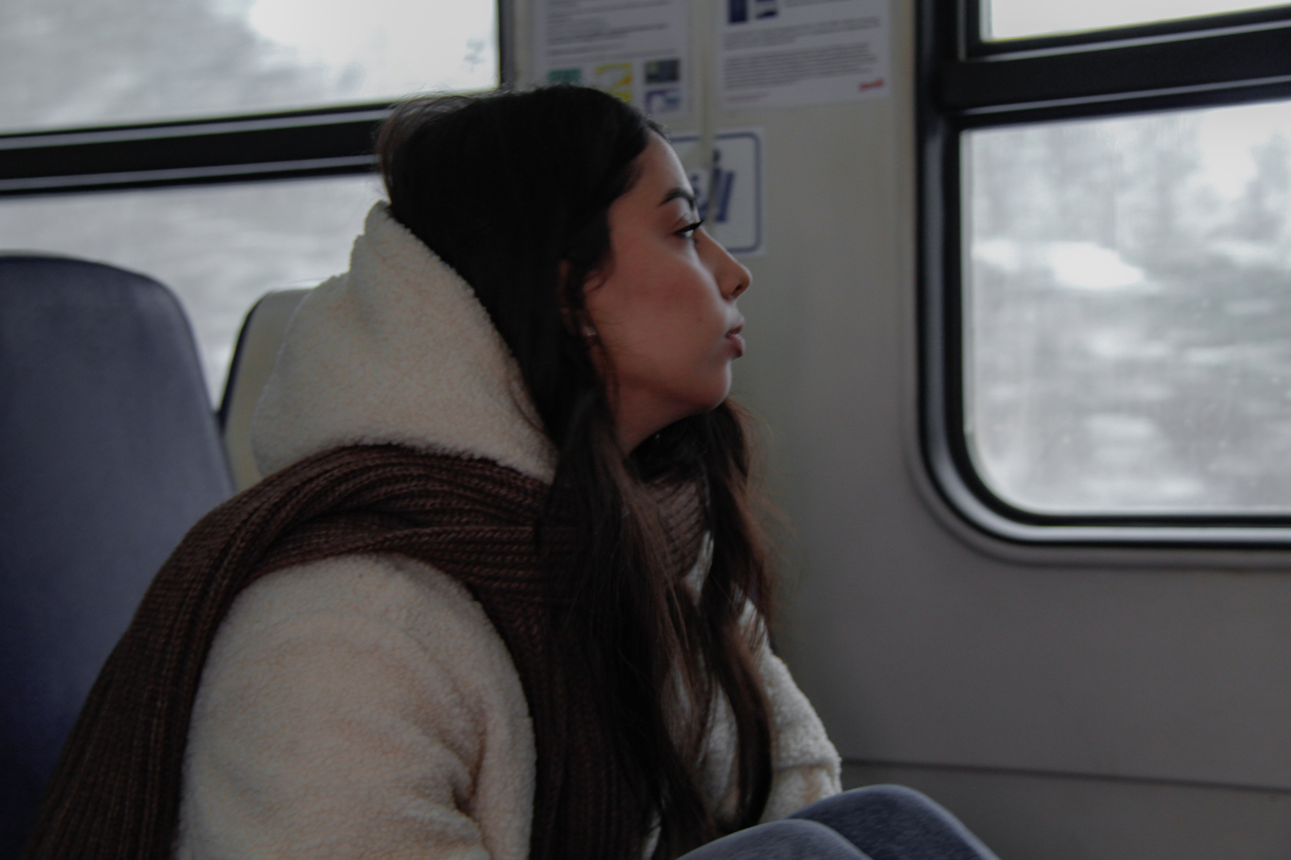 Зимние ветры дуют с озера. Натали. Janie valde |photographer & visual artist