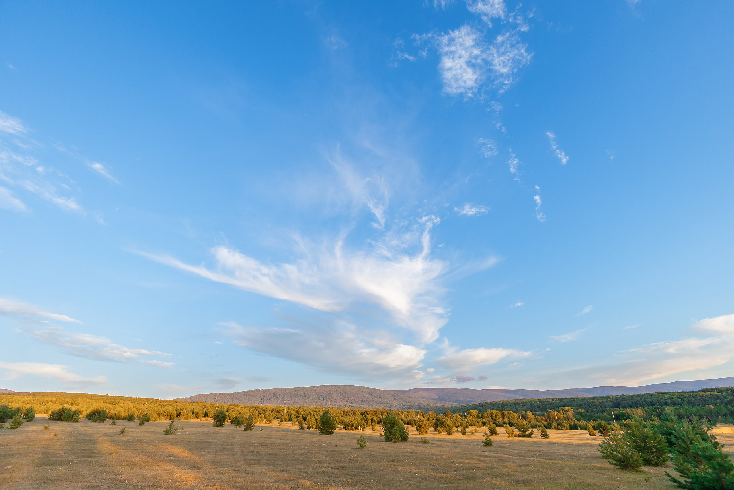 @Artel.Baikal. Фотограф и видеограф в Улан-Удэ: Аюна Габагуева и Артём Шаханов