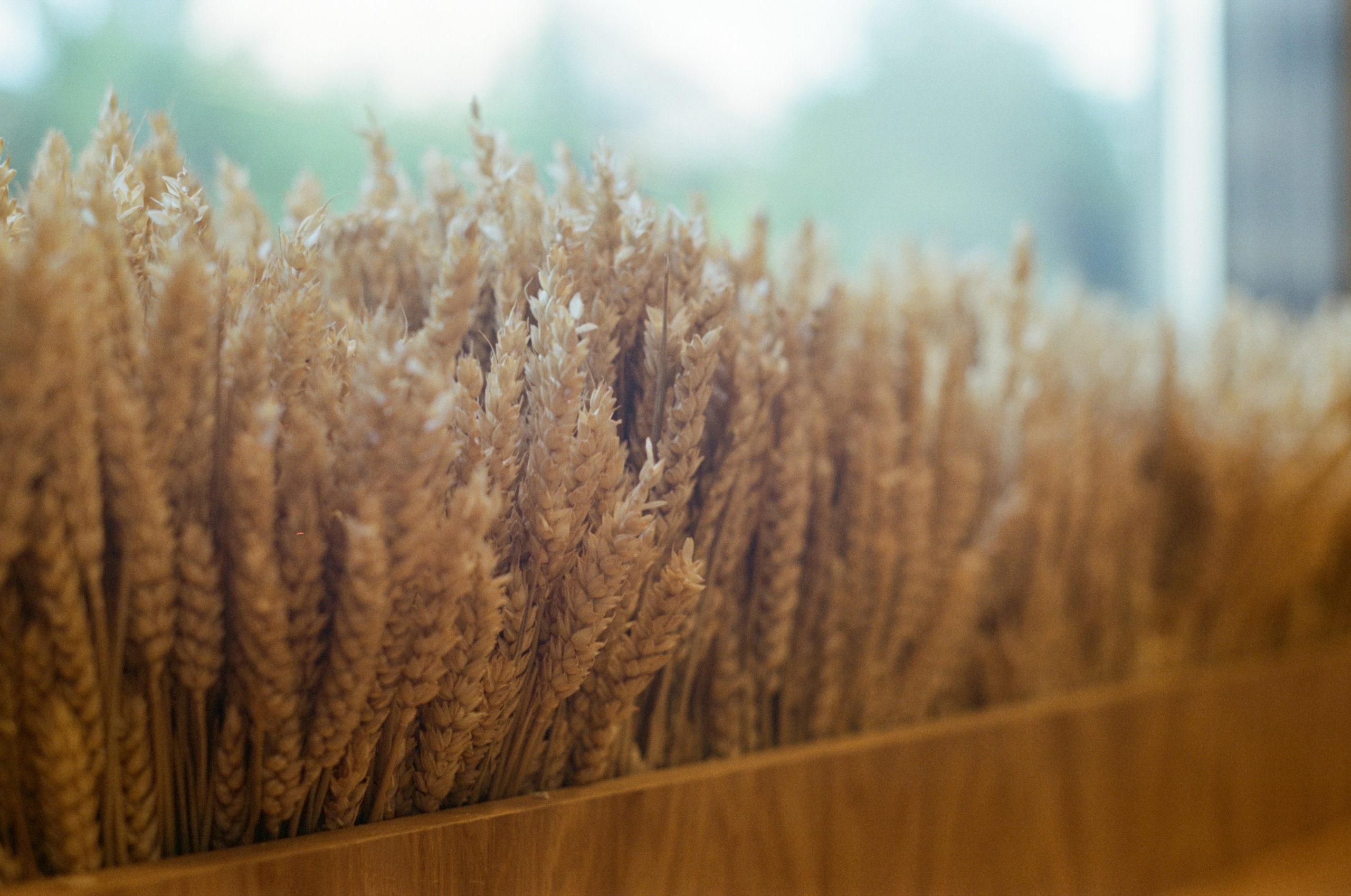 Интерьер и детали. Коммерческий фотограф в Москве Садовников Алексей