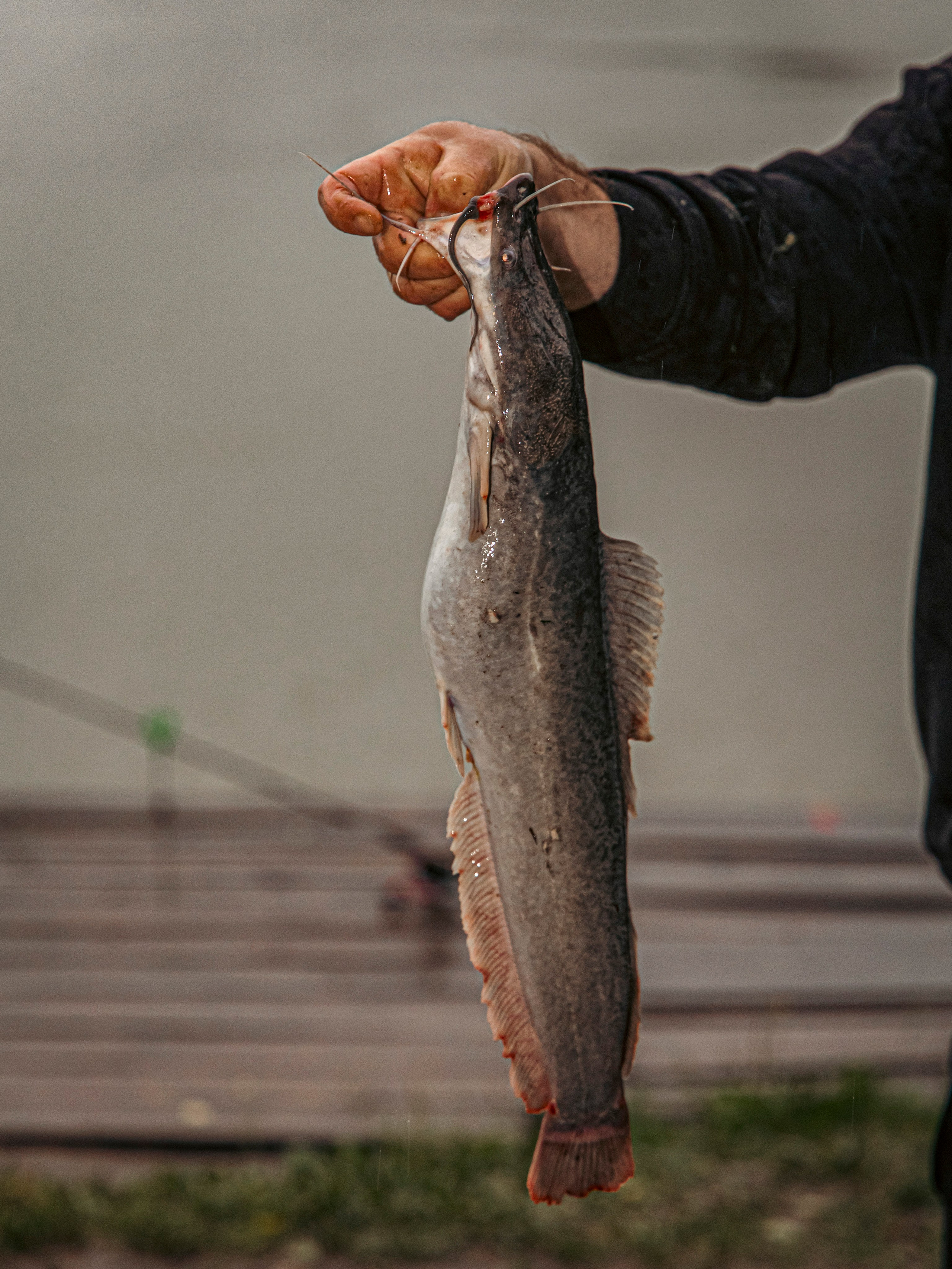 Тихая заводь. Чеховский район. Фотограф для маркетплейсов, фотоуслуги в Жуковском Татьяна Марсуверских