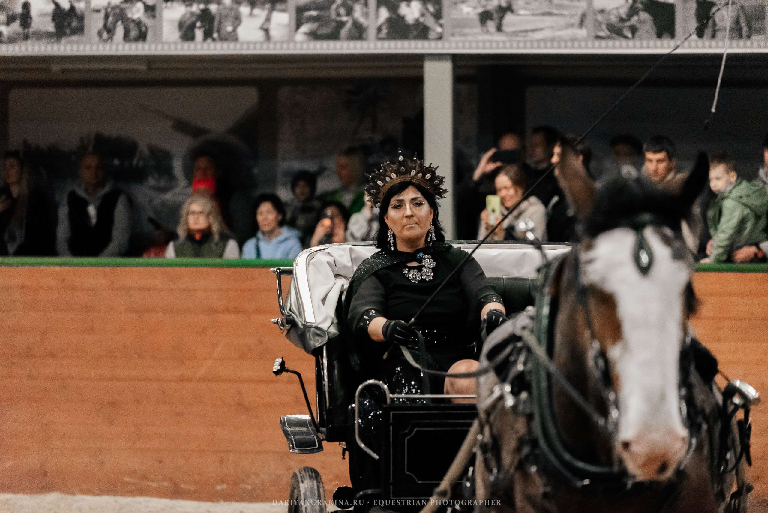 Конное представление «Дыхание Звёзд». Конный фотограф Куракина Дарья • Фотосессии с лошадьми