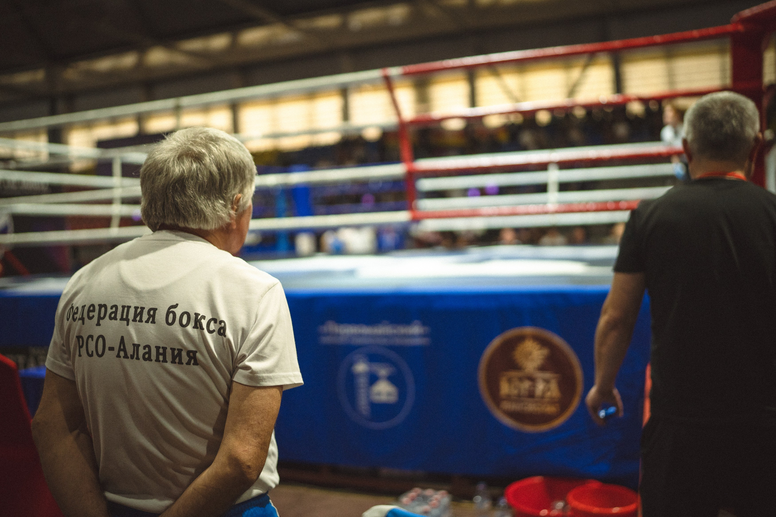 Бокс. Чемпионат России среди юниоров. Владикавказ 2024. Zekons. Фото, видео, нейросети
