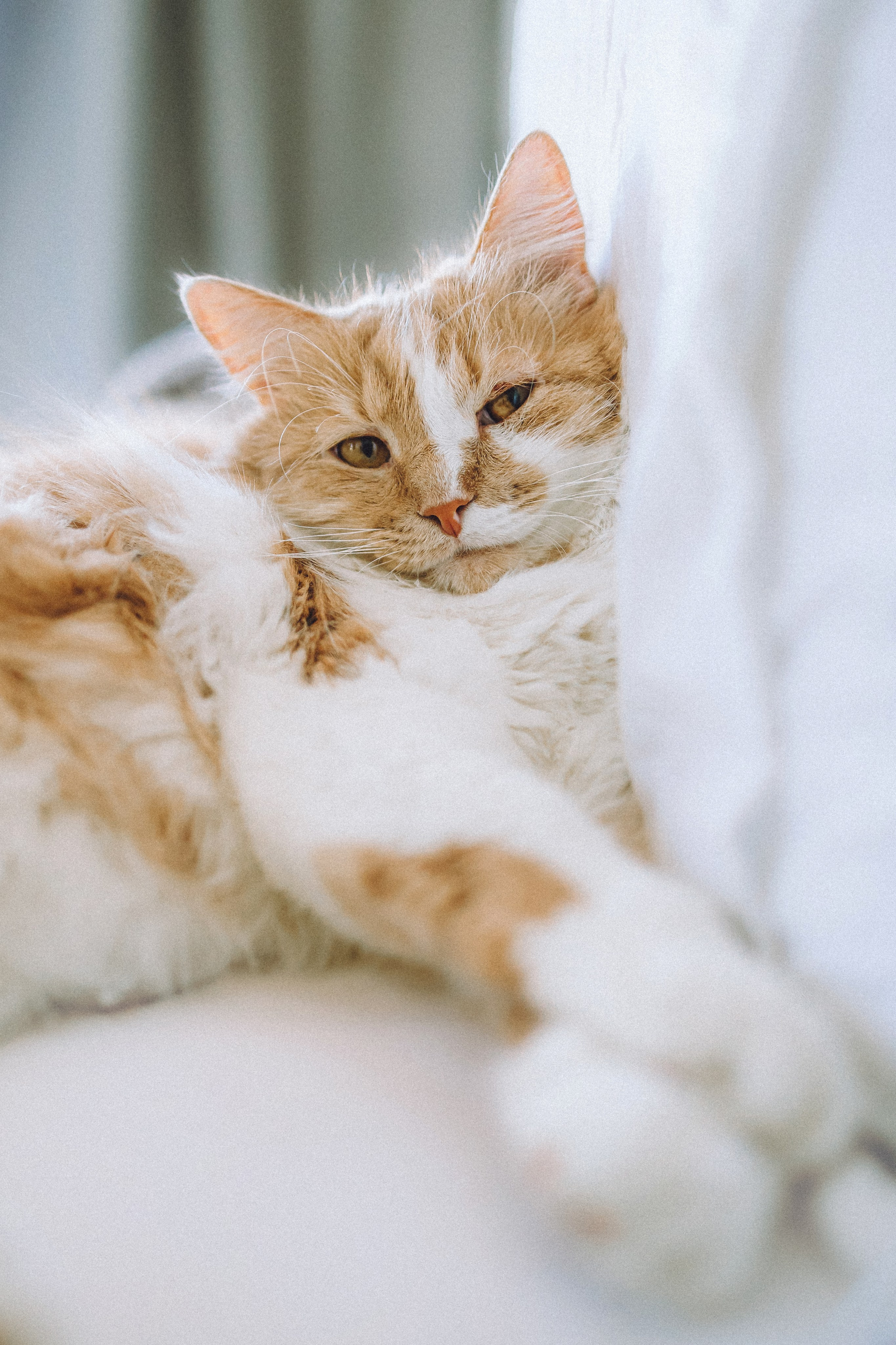 День Рождения Шу