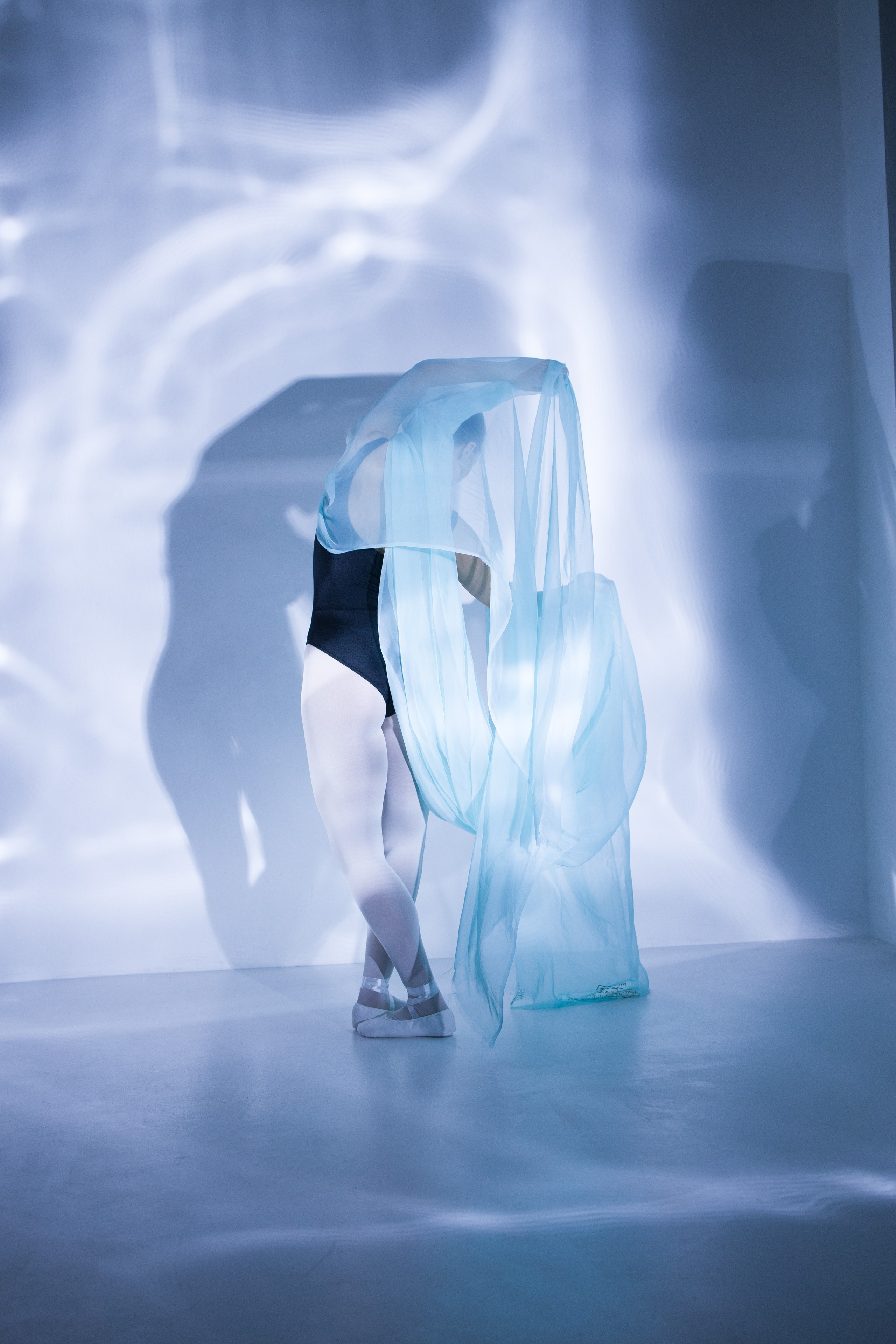 Лилия. Художественная фотография