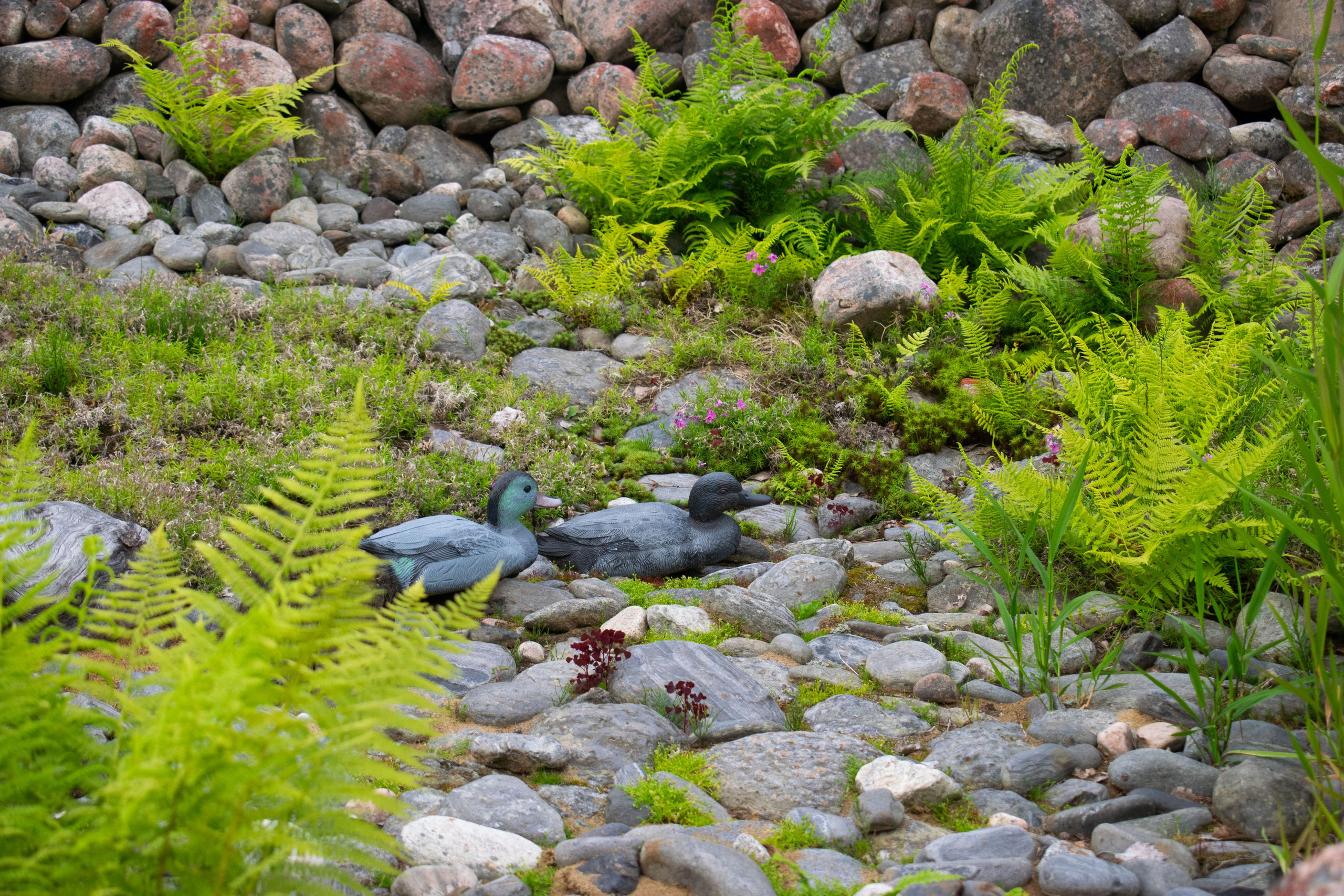 Садово-парковая и ландшафтная фотосъёмка. Фотограф в Карелии, Сортавала, Рускеала Наталья Зверева
