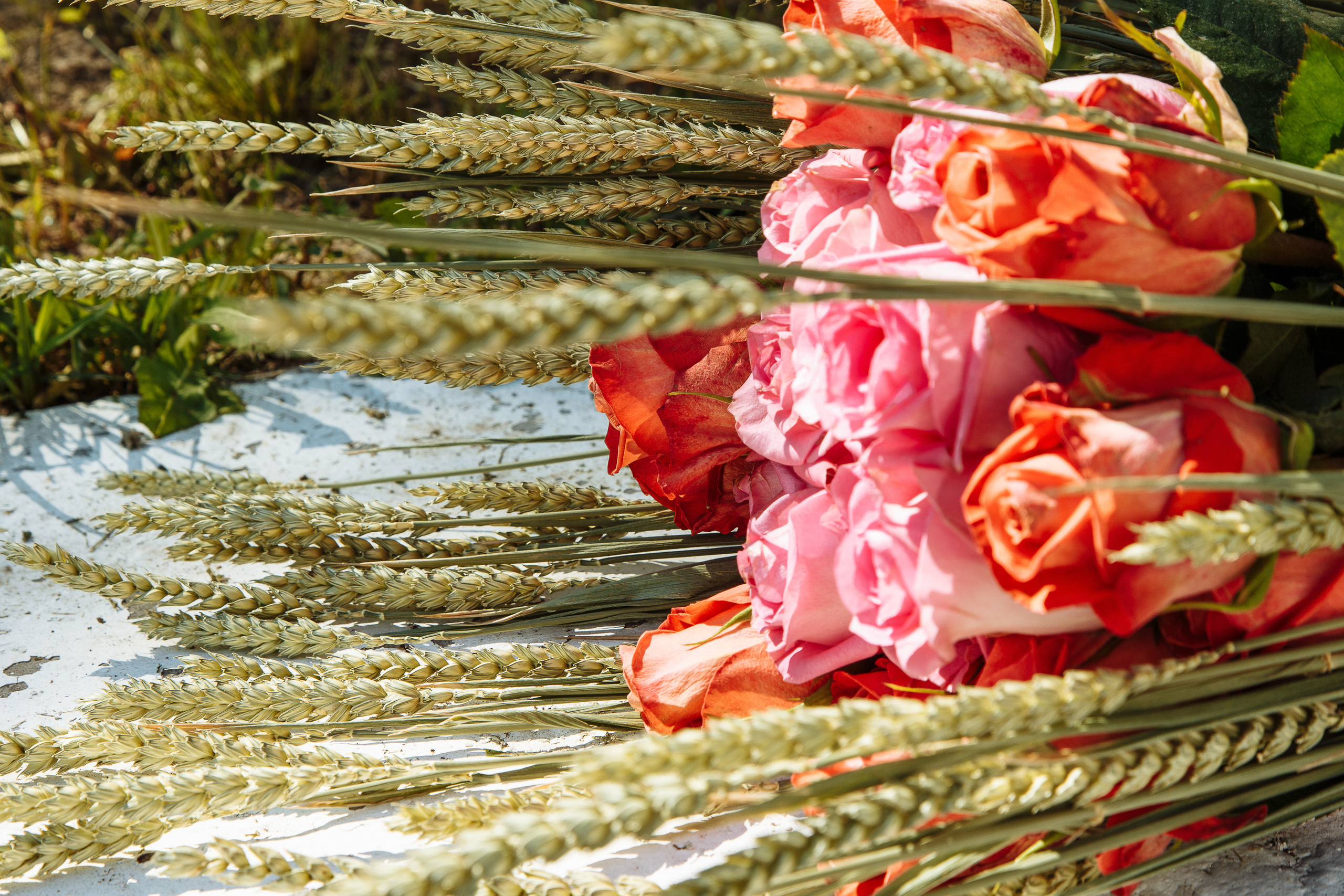 Свадьба, пёсили и отмена карантина. Свадебный фотограф Юлия Логинова