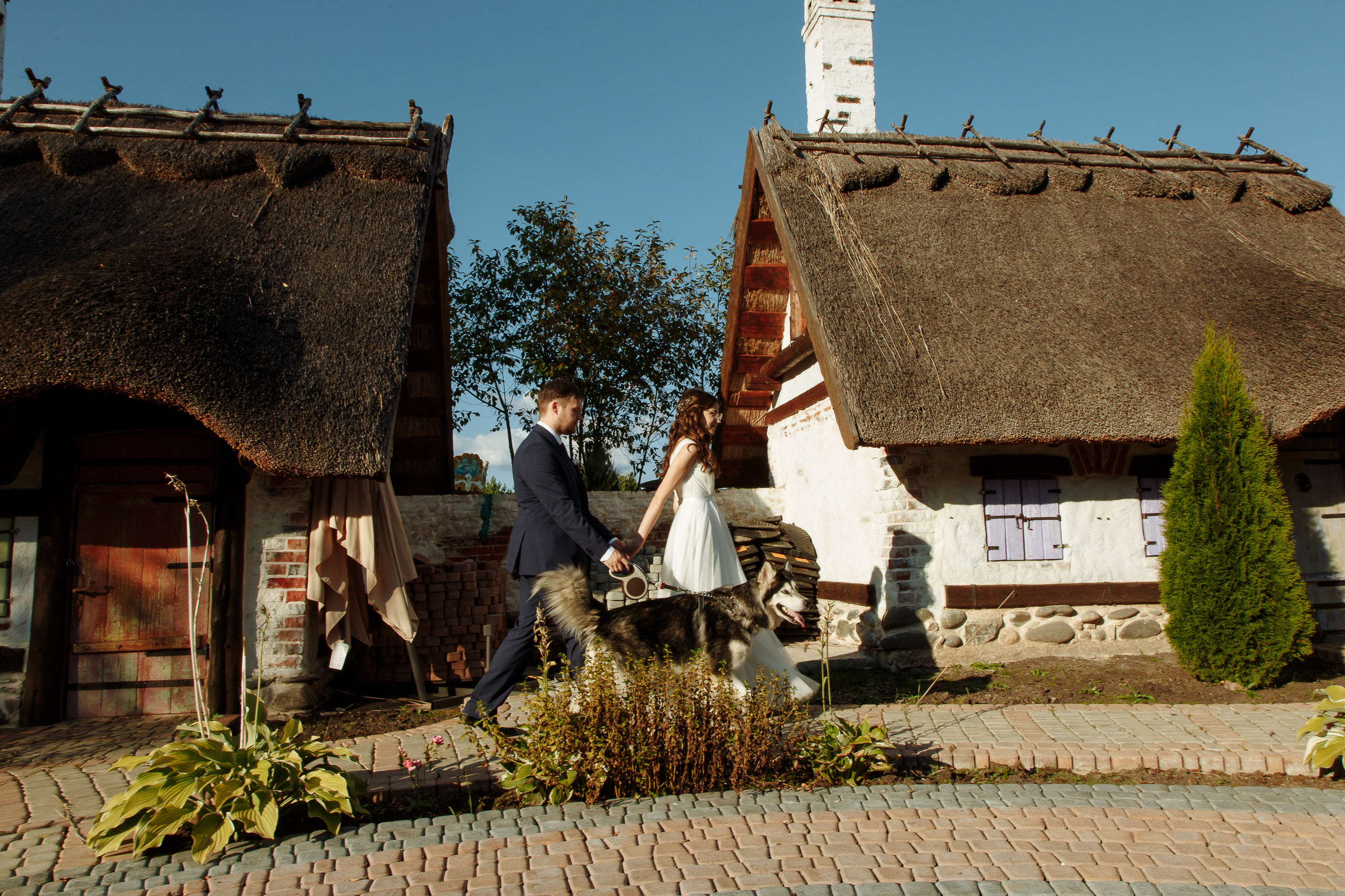 Свадьба, пёсили и отмена карантина. Свадебный фотограф Юлия Логинова