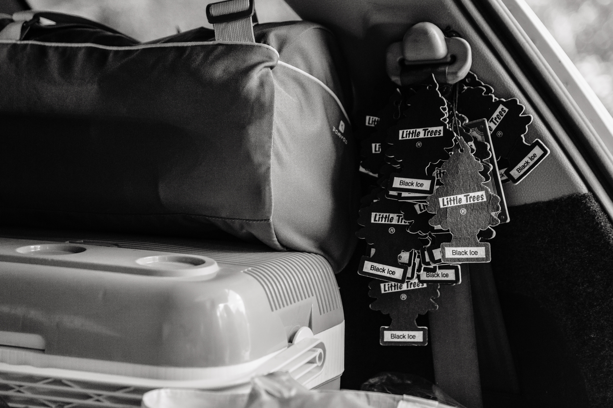 Свадьба, пёсили и отмена карантина. Свадебный фотограф Юлия Логинова