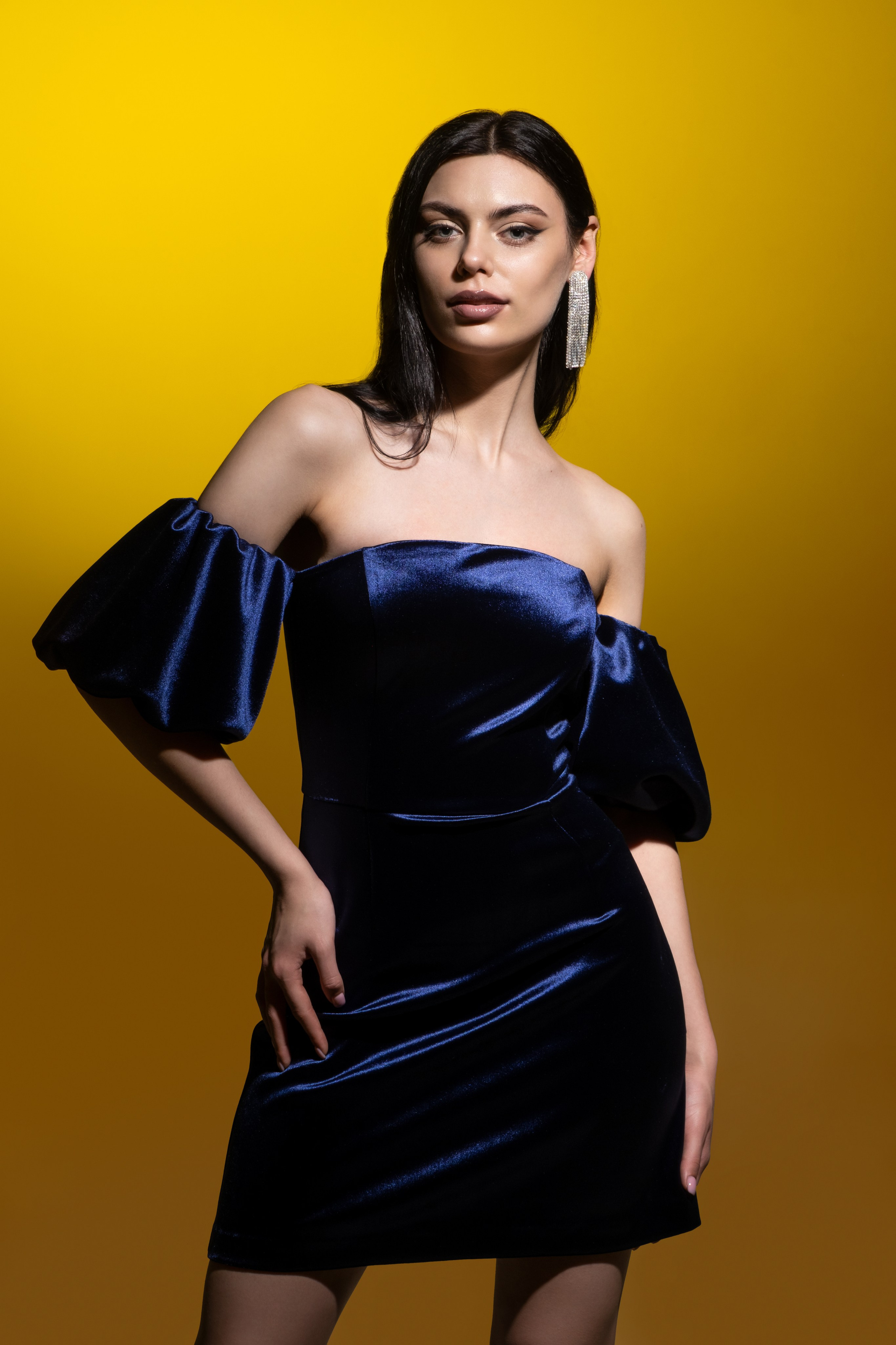 Алина. Профессиональные модельные портфолио