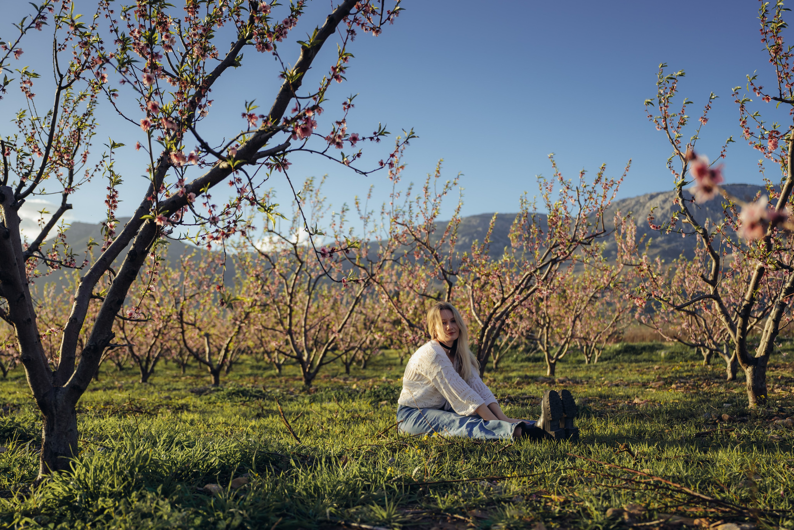 Цветущий миндаль. Анна Лобанова | фотограф