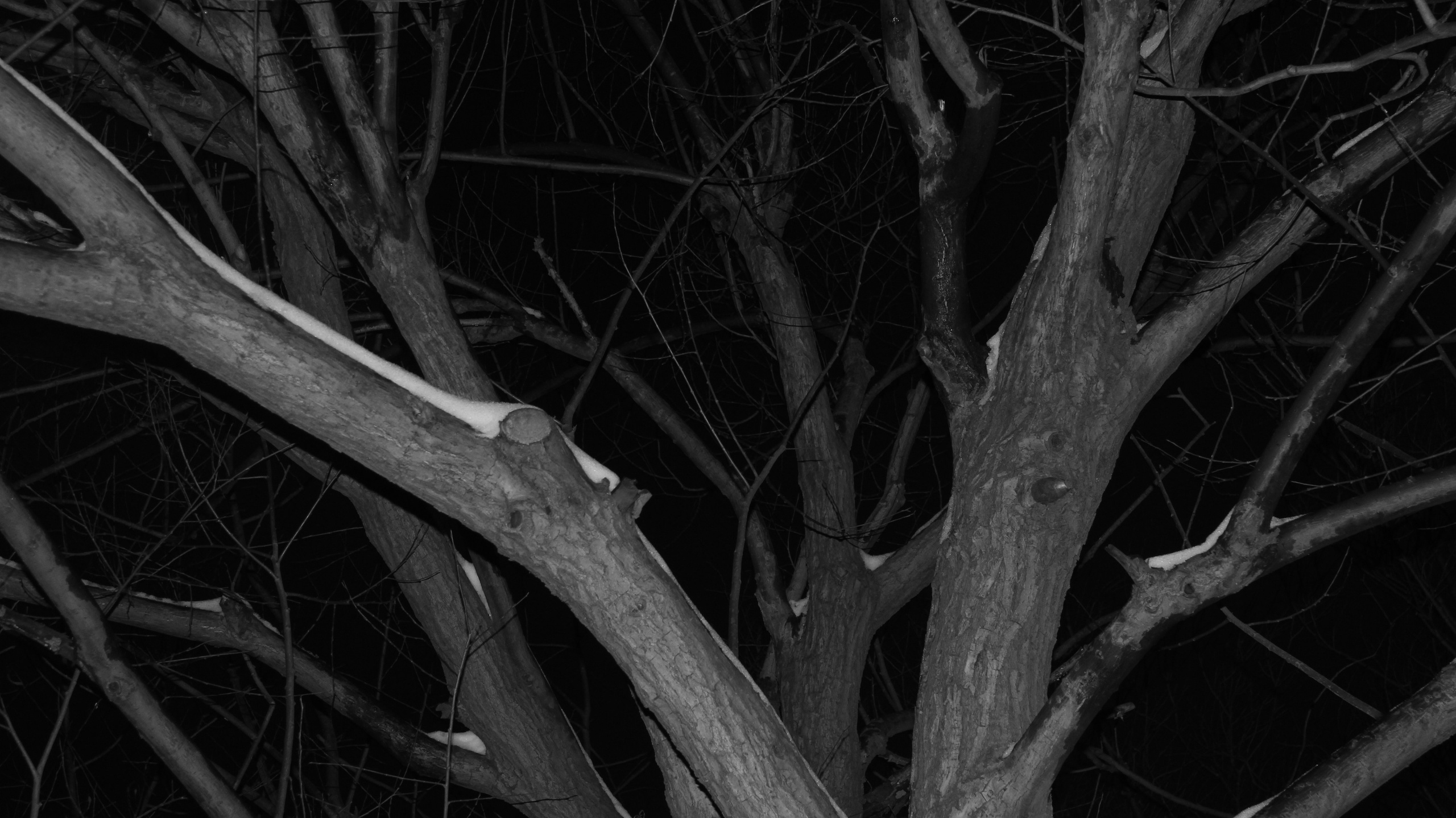 TMN winter '25 (wb). Фотограф/дизайнер в Екатеринбурге Хитрый Дмитрий