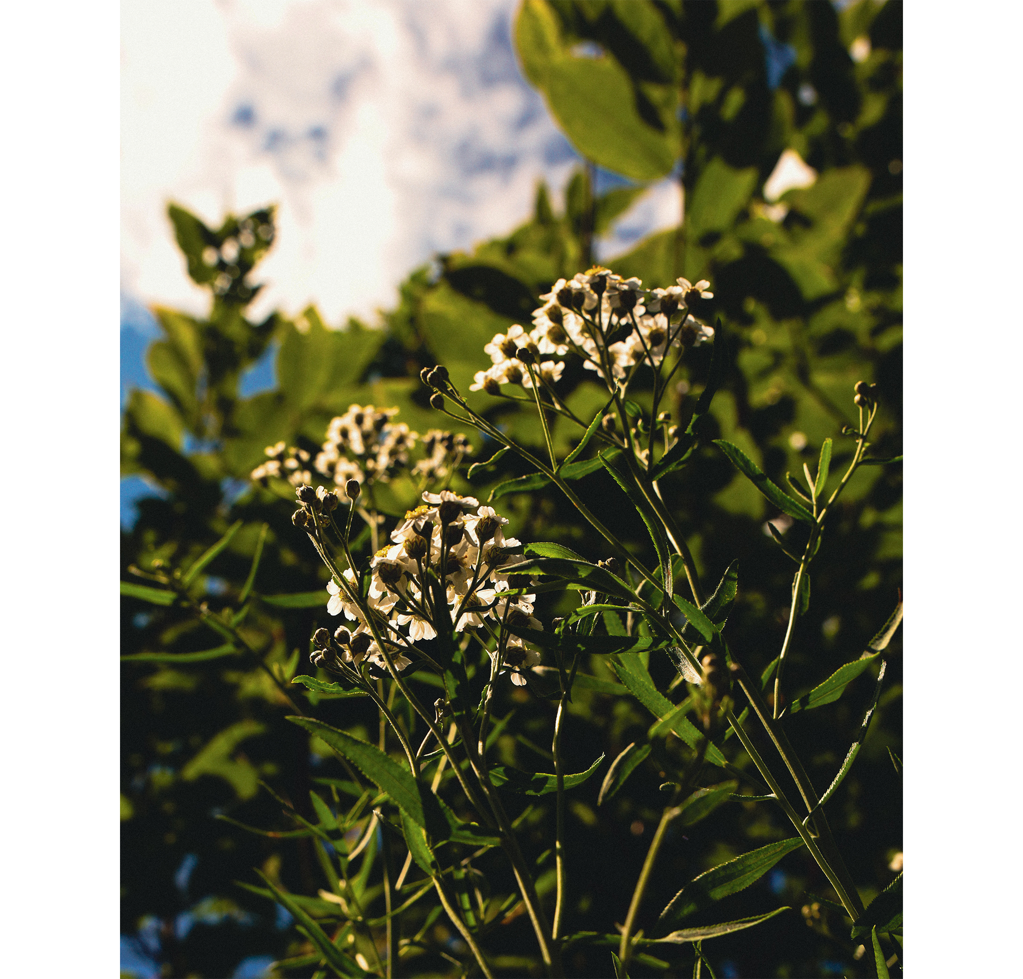 Summer hike. Фотограф/дизайнер в Екатеринбурге Хитрый Дмитрий