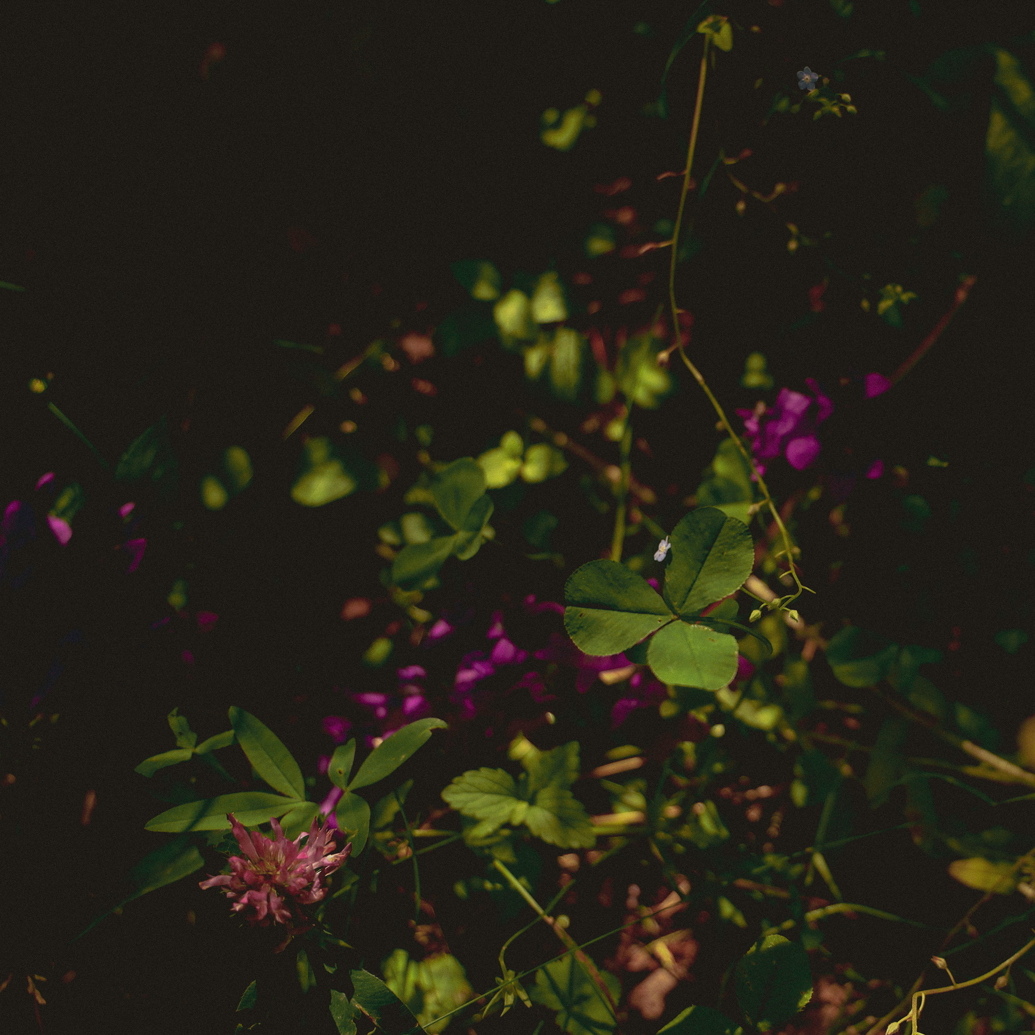 Summer hike. Фотограф/дизайнер в Екатеринбурге Хитрый Дмитрий